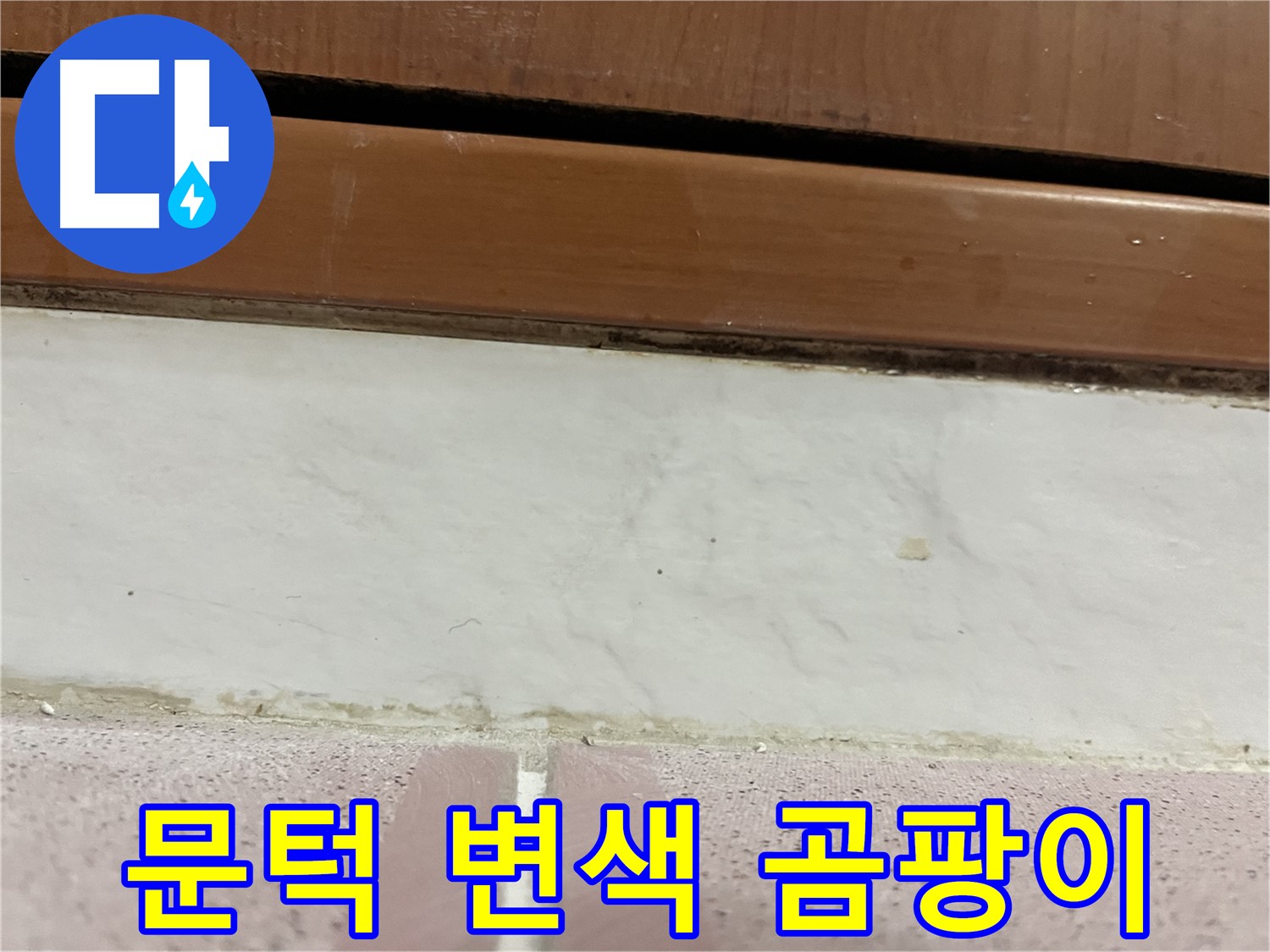 형제맨션빌 누수 - 문턱 주변 타일 틈새 백시멘트 변색과 곰팡이