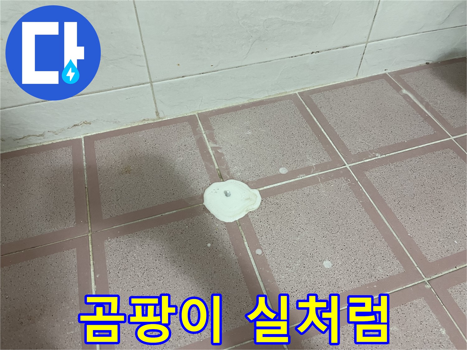 형제맨션빌 누수 - 백색 물질 위에 곰팡이 실처럼 뻗어 나옴