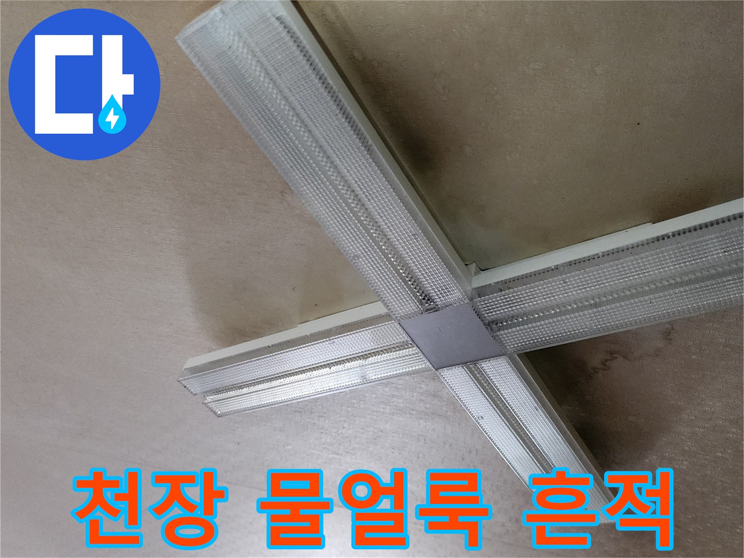 양주 은현면 현장의 천장 조명 주변 물얼룩 상태