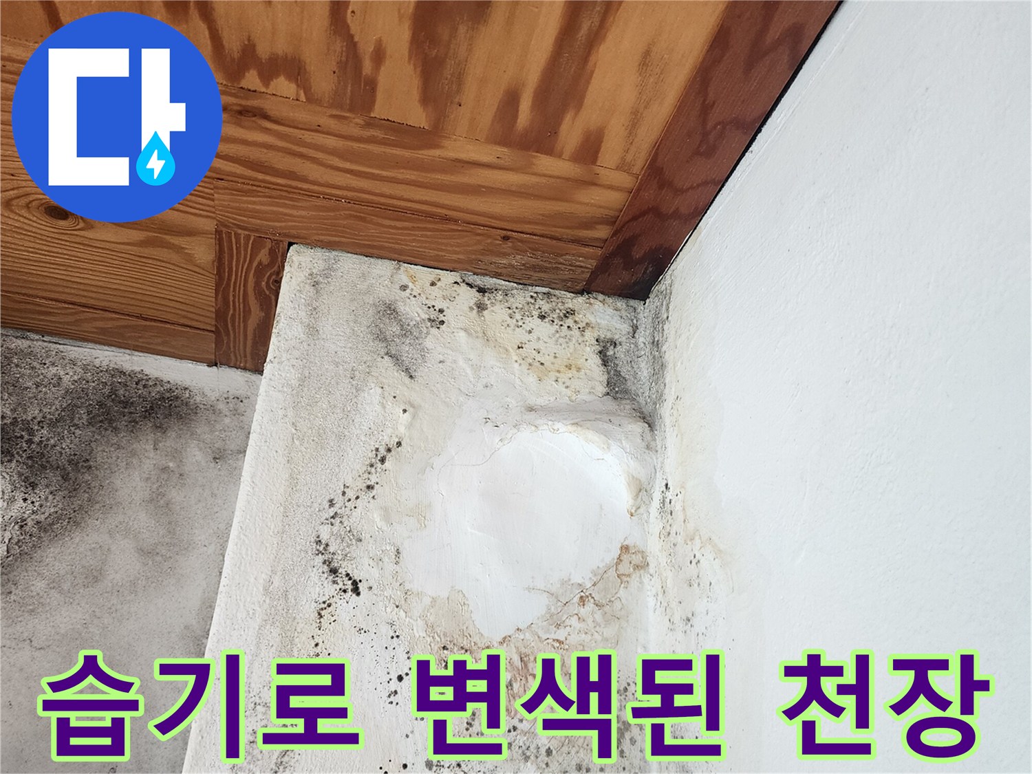 물기에-젖어-어둡게-변한-천장-나무-자재