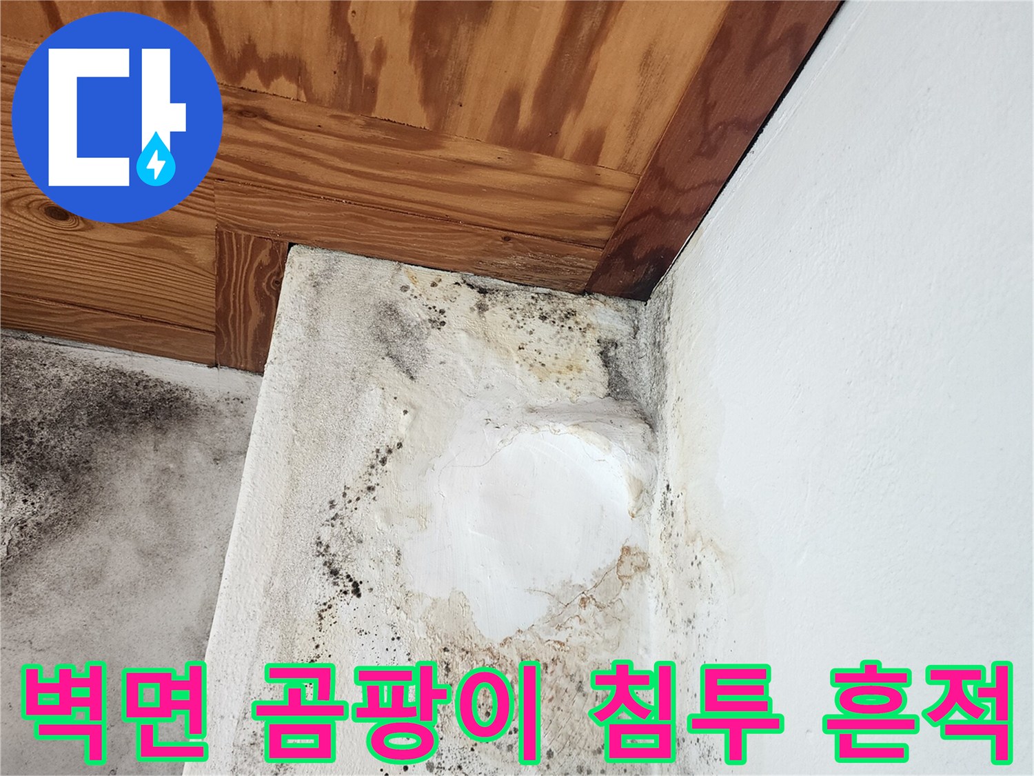 벽면-하단과-천장-접합부의-심한-곰팡이-오염