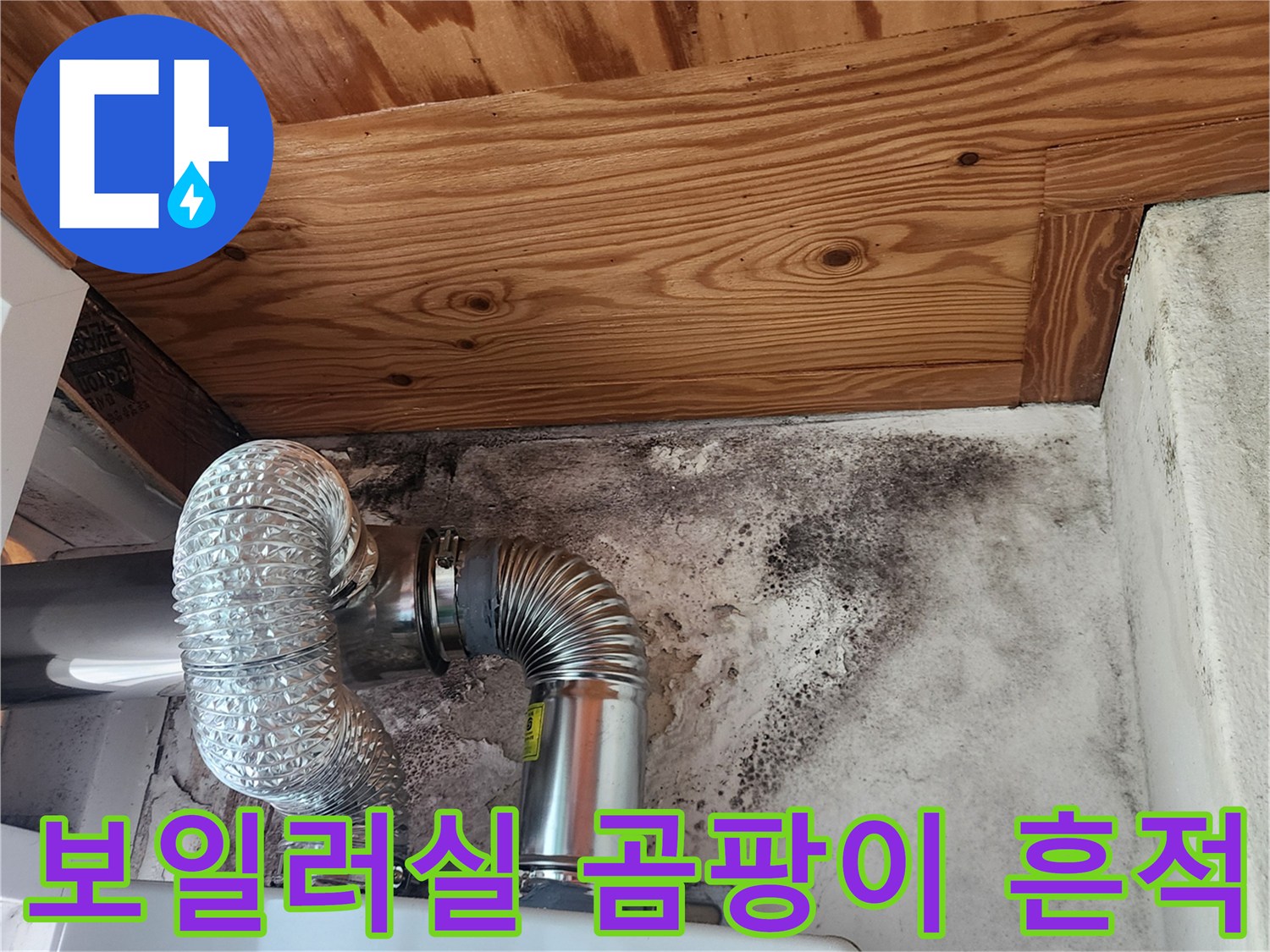 보일러-연통-주변의-심한-곰팡이와-젖은-벽면 상태