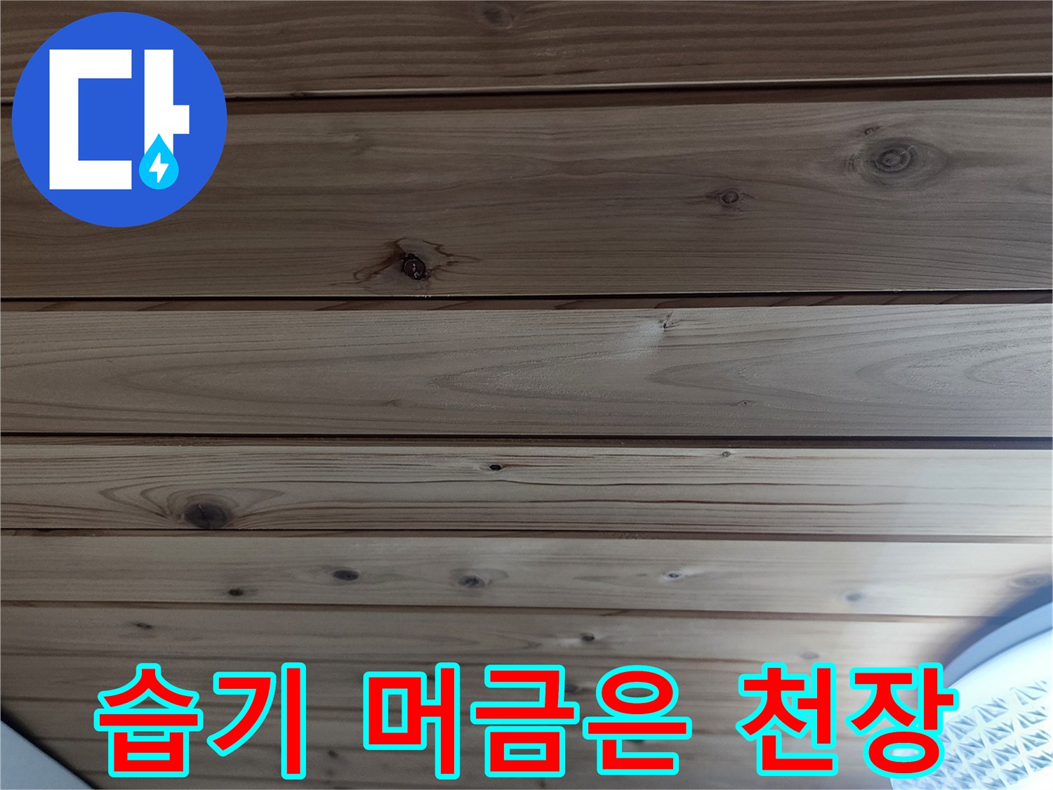 습기 침투로 인해 어둡게 변한 나무 천장 판재
