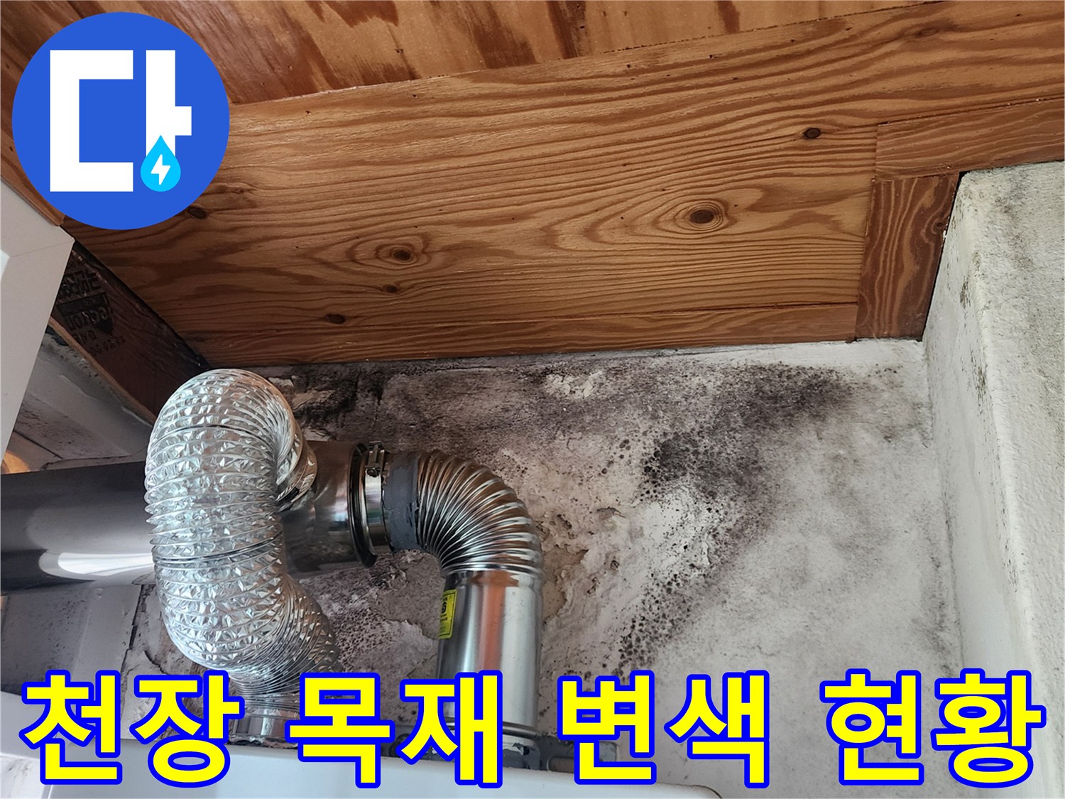습기로-인해-변색된-천장-목재와-곰팡이-핀-벽면