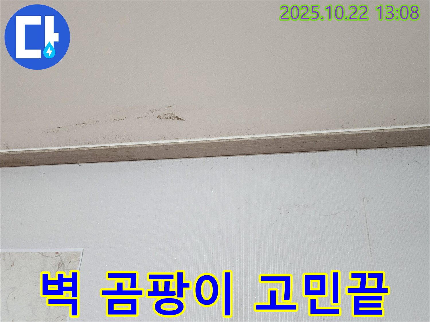 양주시 은현면 벽 곰팡이 - 곰팡이 고민 이제 그만!