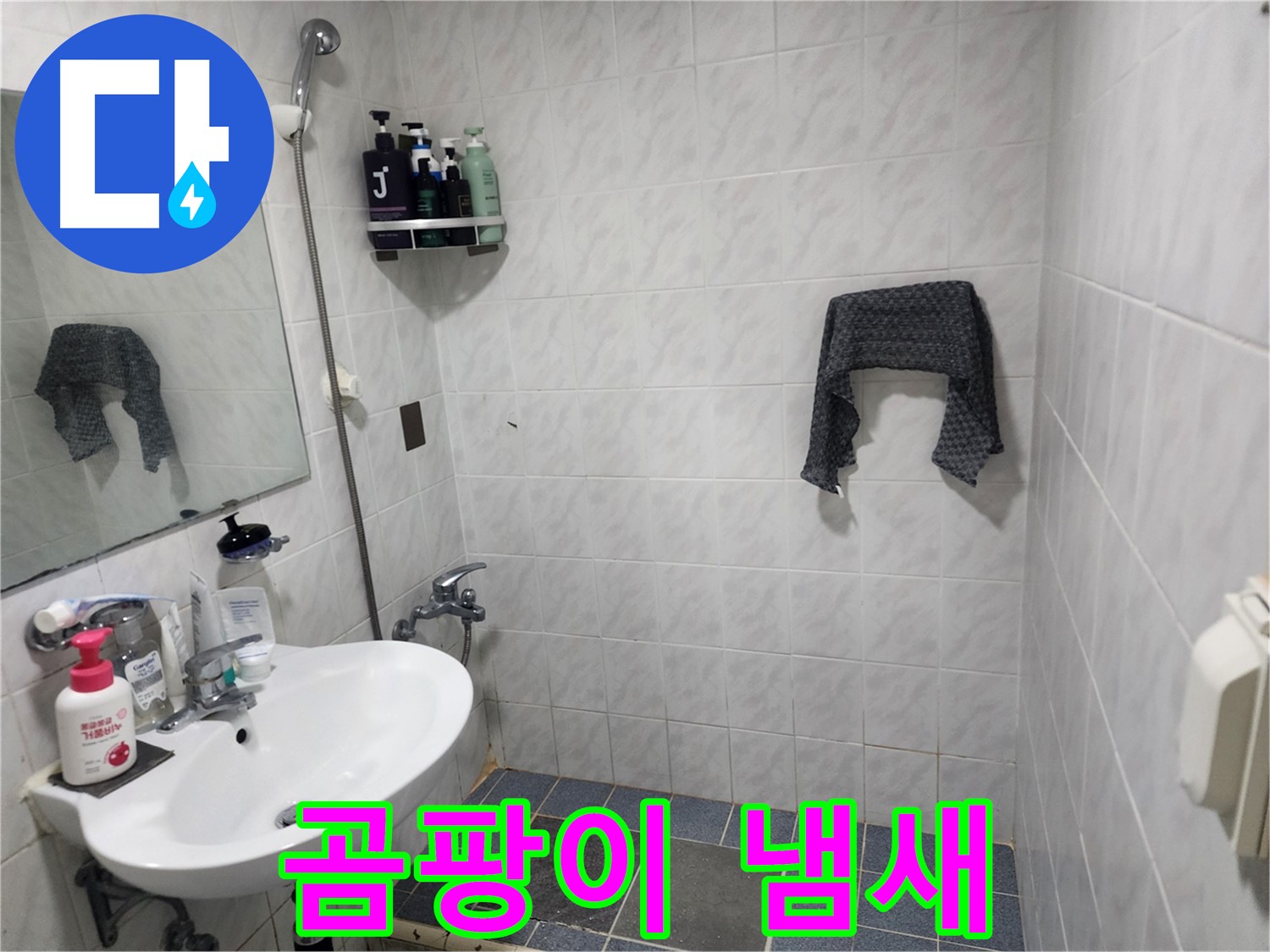 양재동 욕실 - 벽면 곰팡이 냄새 - 숨겨진 누수 의심