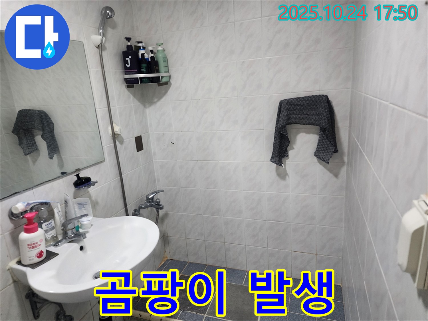 욕실 배수구 주변 곰팡이 발생 - 누수 진행 중