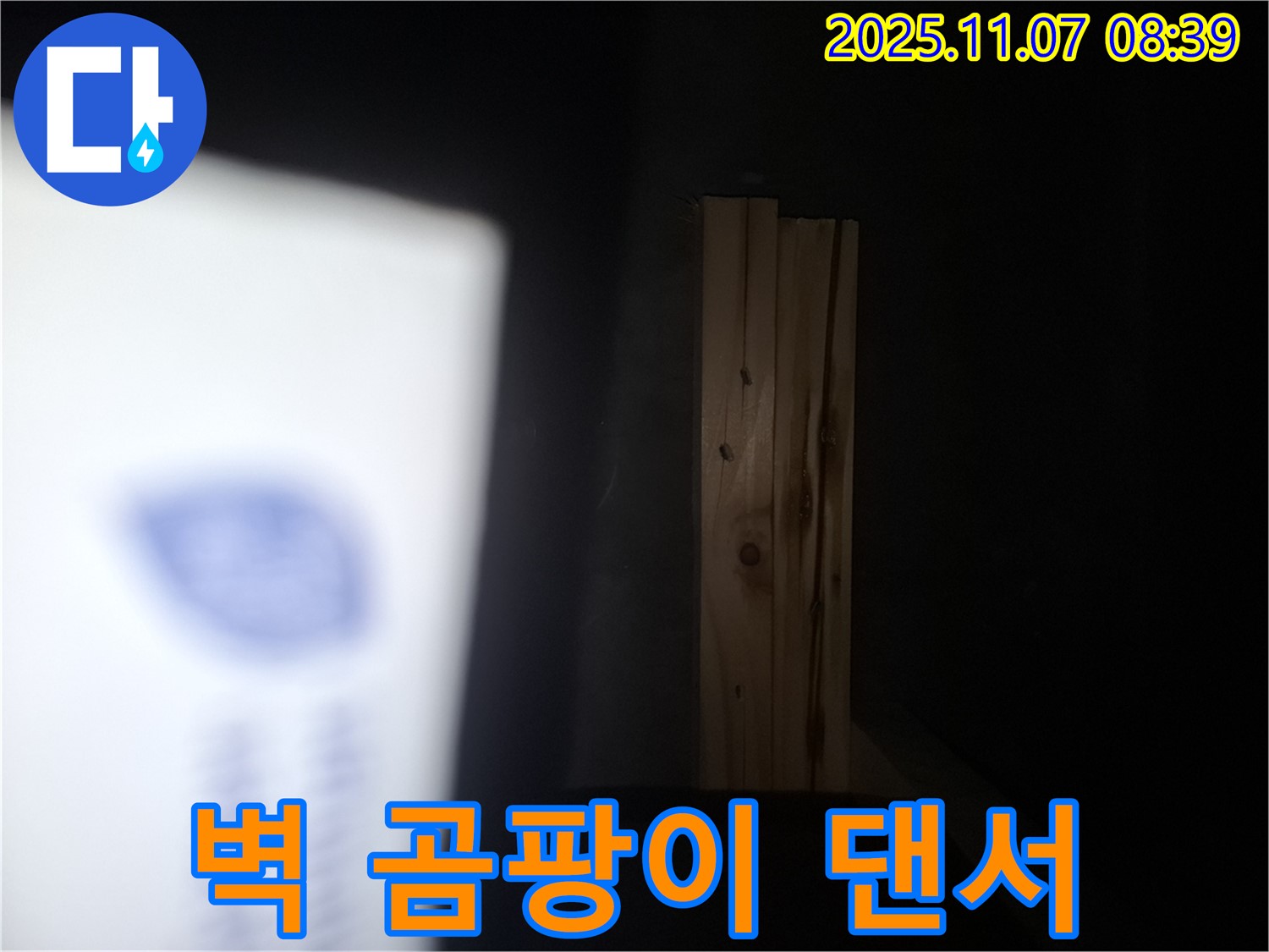 수원 팔달구 신풍동 누수 - 나무 벽에 곰팡이 댄서가 춤을 춘다면 건물 전체에서 곰팡이 댄스 파티가 개최될지도 모릅니다!