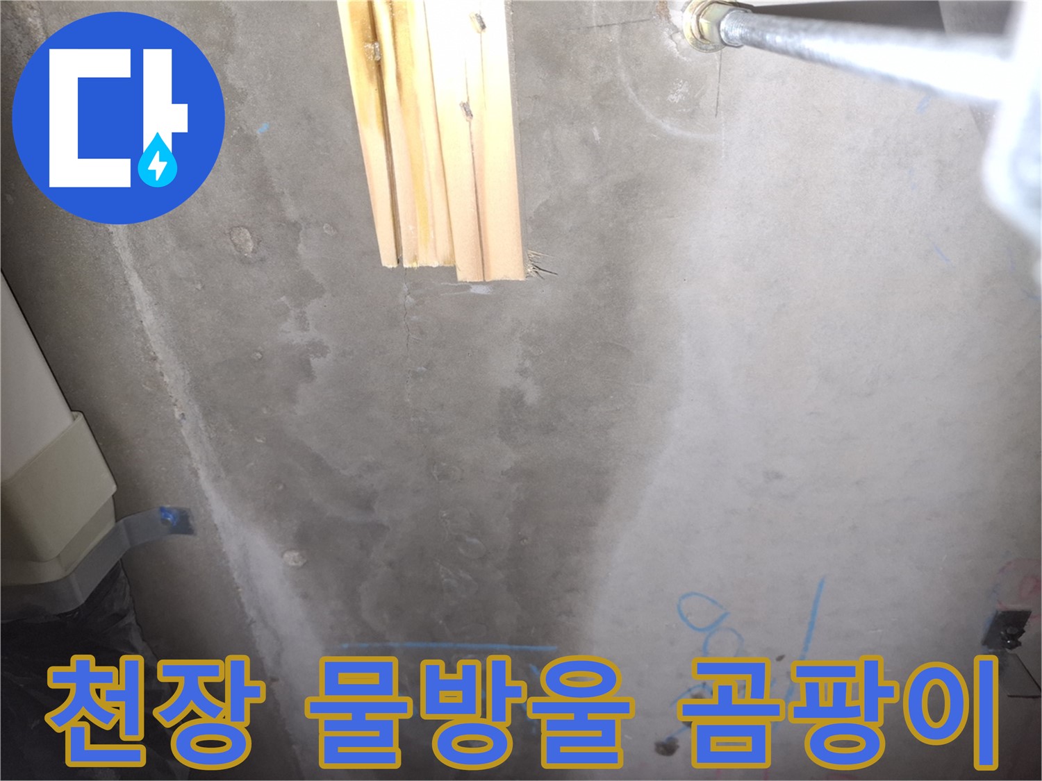 콘크리트 천장 누수 - 물방울 맺힘과 곰팡이 냄새
