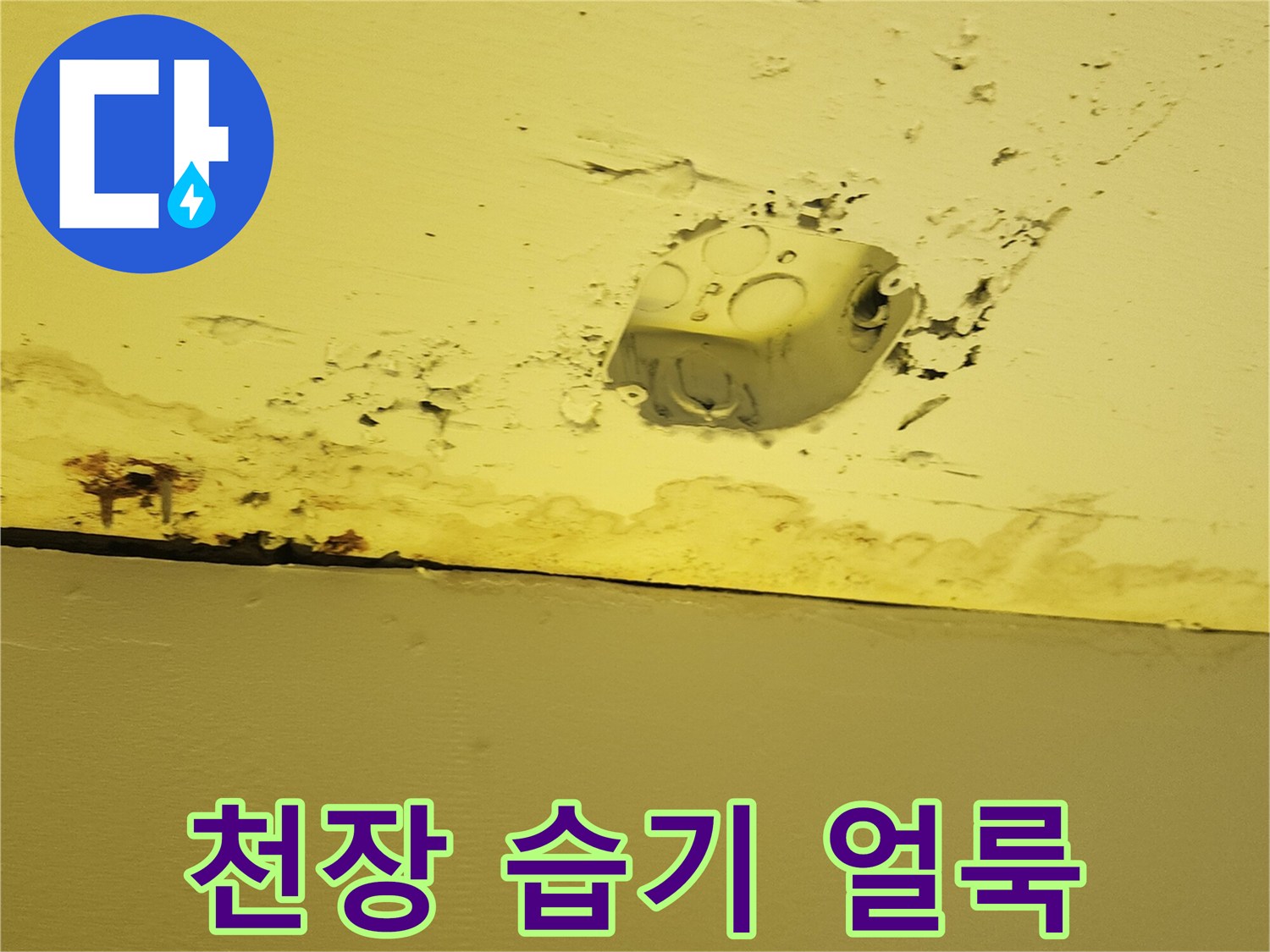 노란색 천장 마감재의 물스며듦과 변색된 부위 상세 사진