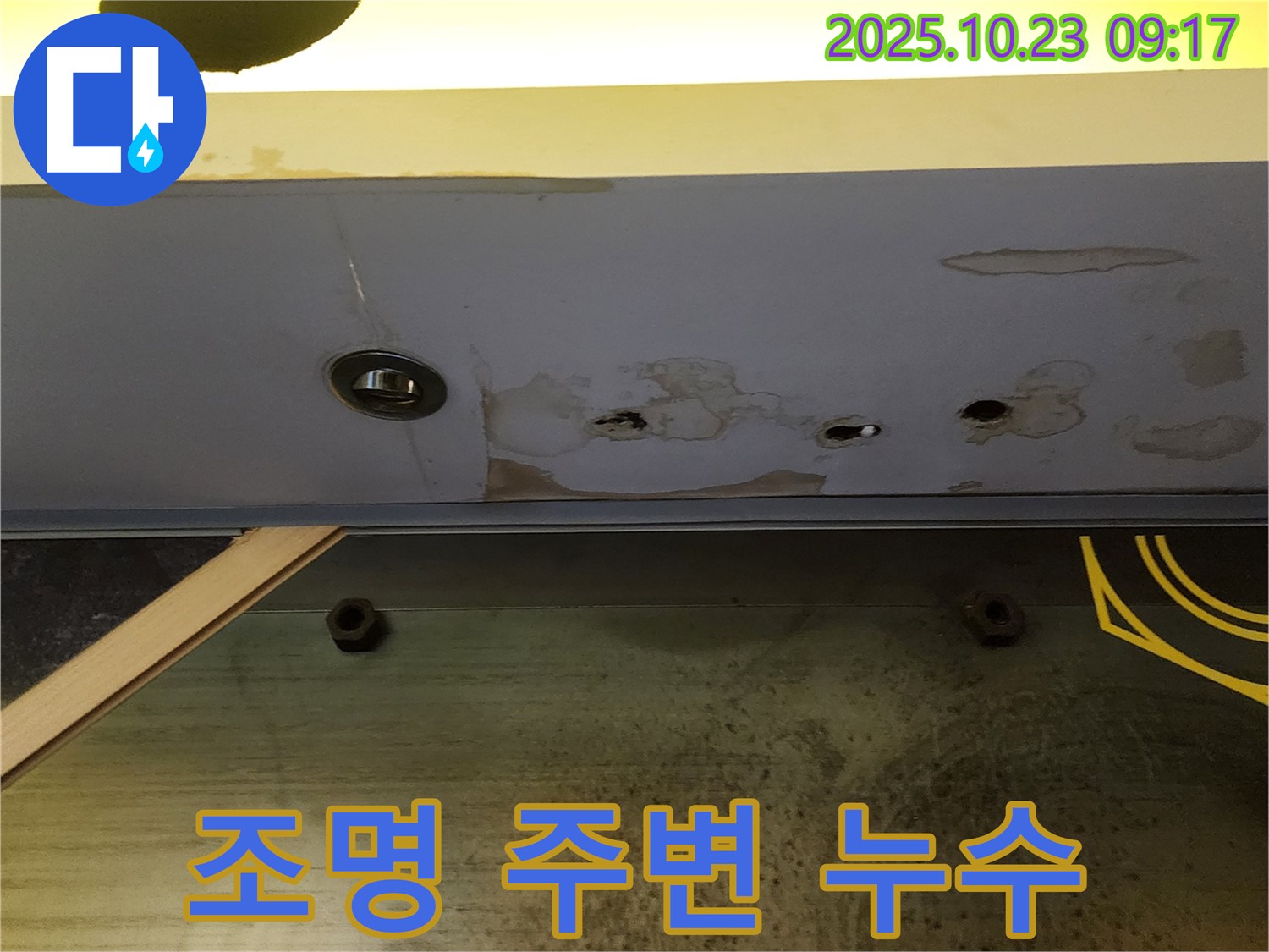 양주 은현면 천장 누수 - 조명 주변에 나타난 누수 흔적을 집중적으로 점검하고 있습니다.