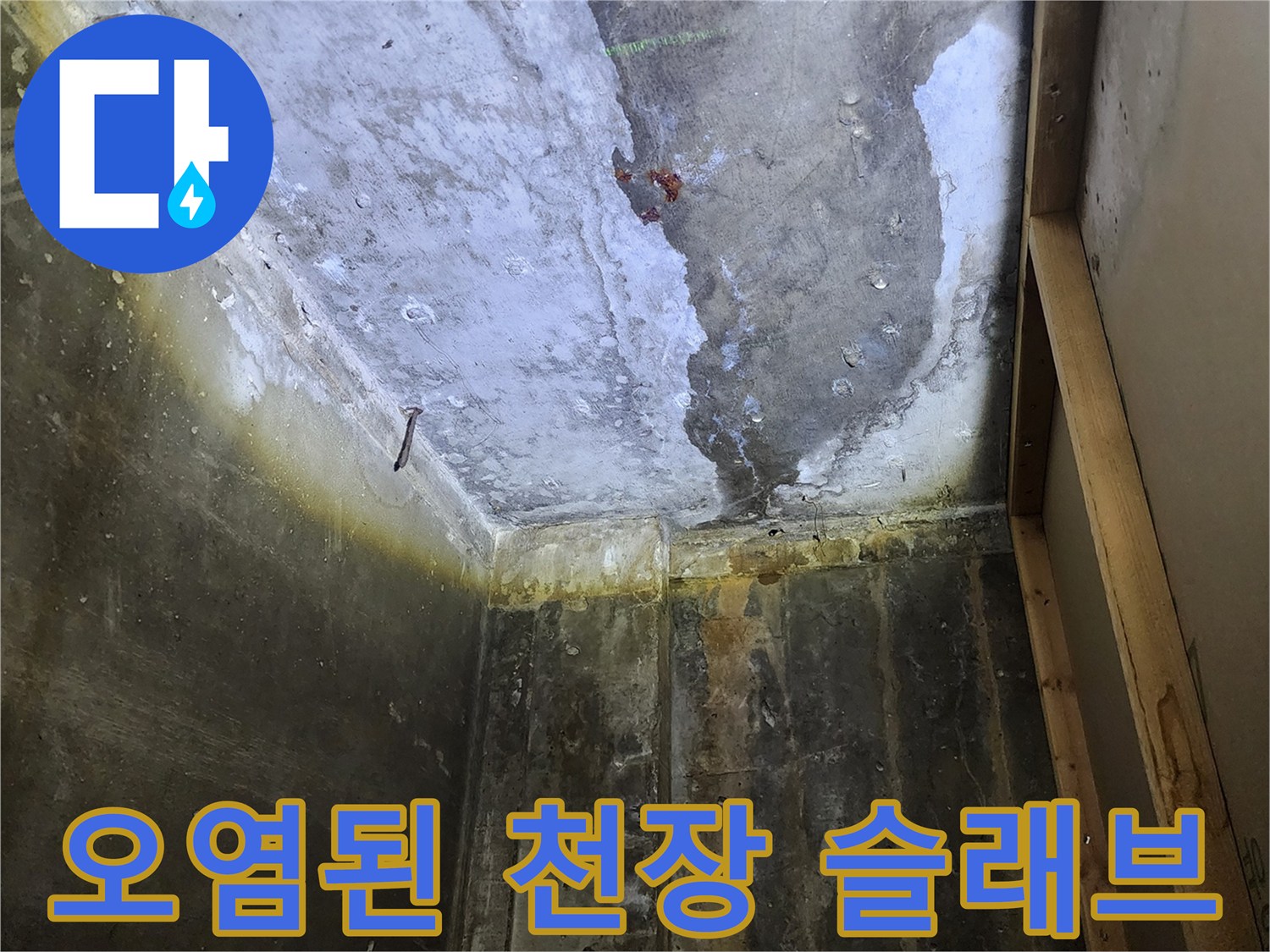 누수로 인해 습기가 찬 상가 건물의 콘크리트 천장