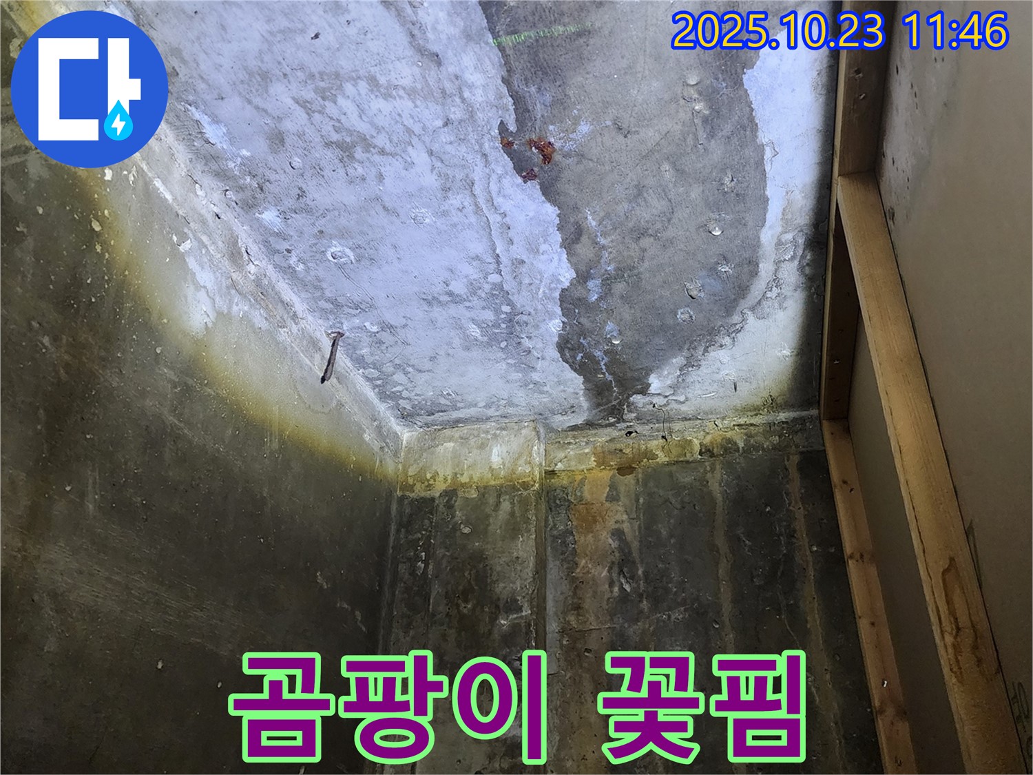 양주 은현면 하패리 누수 - 곰팡이 꽃핀 천장, 건강에 적신호가 켜졌습니다