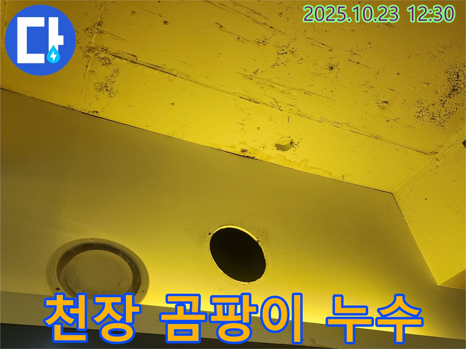 양주시 은현면 천장 누수 - 곰팡이 발생 가능성이 높은 누수 현장