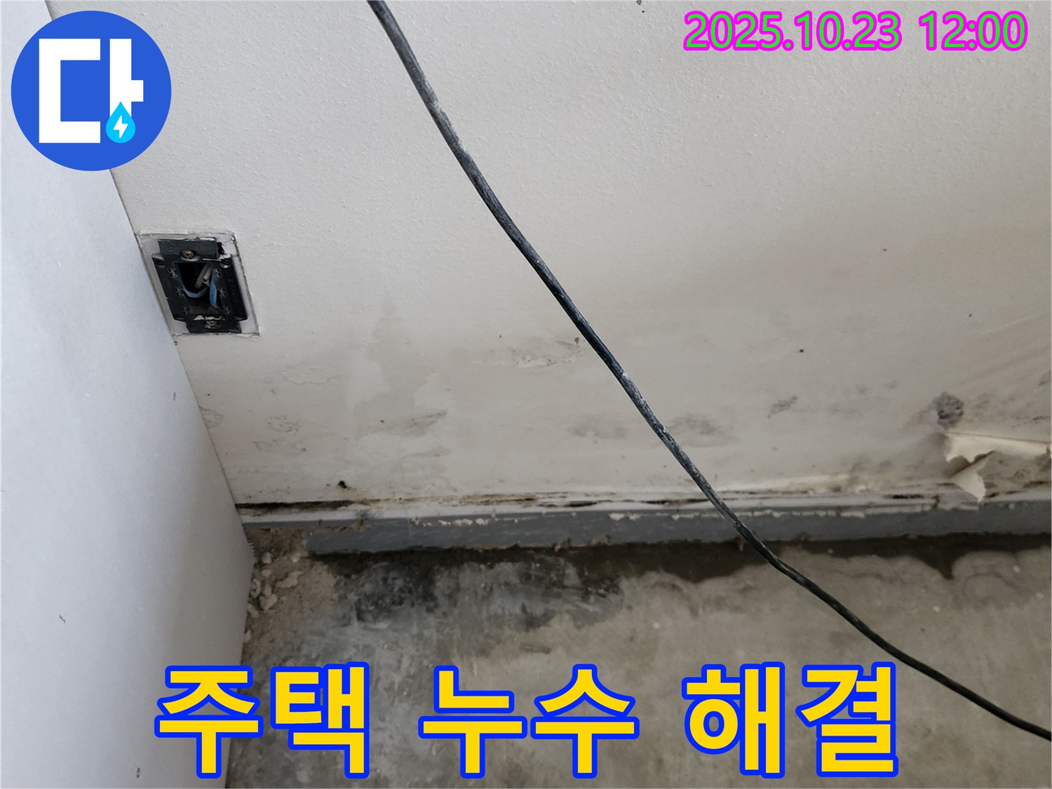 양주시 은현면 하패리 주택 누수 문제 - 완벽 해결, 믿고 맡겨주세요!
