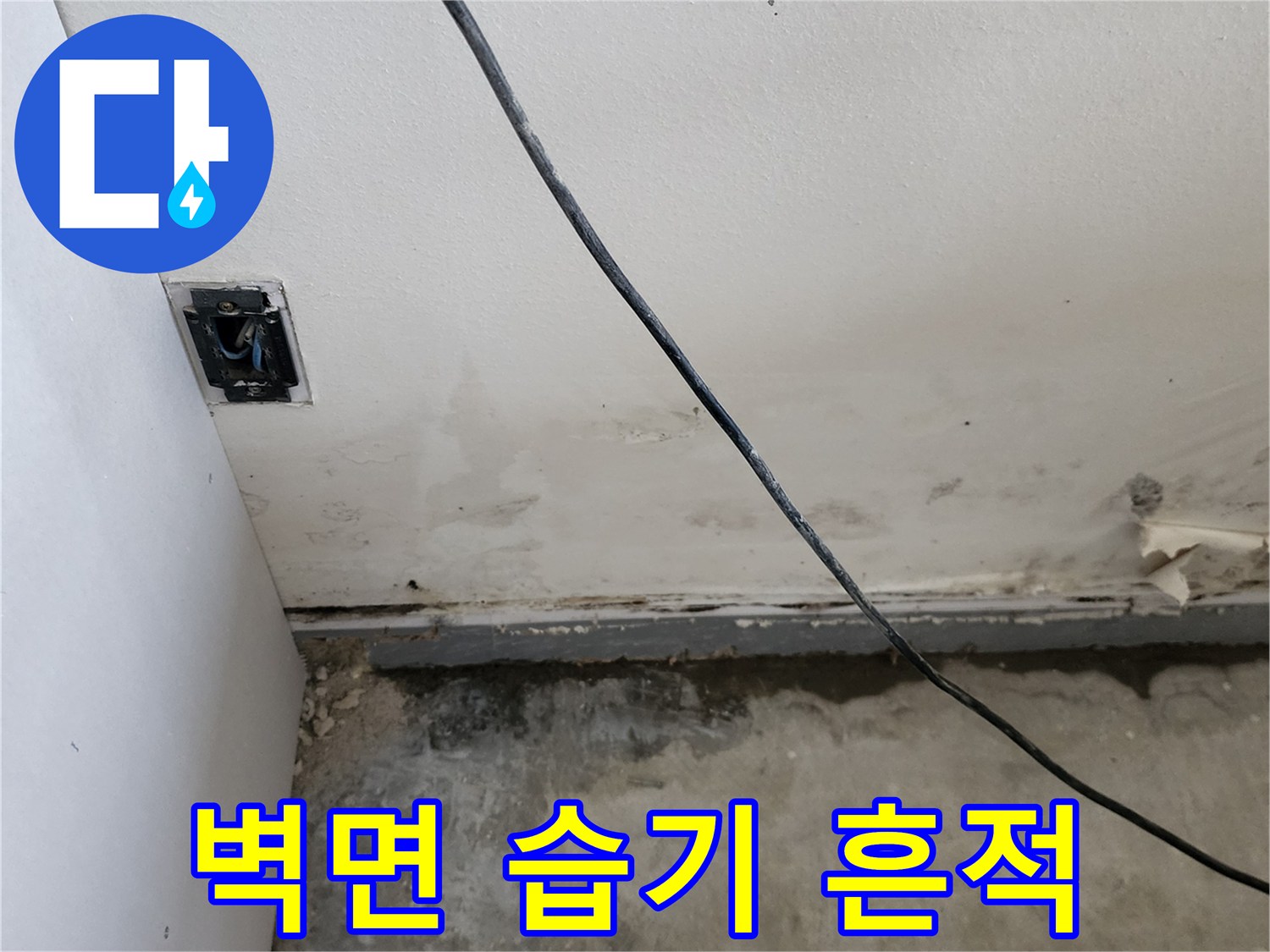 양주시 하패리 현장-벽면 하단부의 젖은 얼룩과 오염 상태