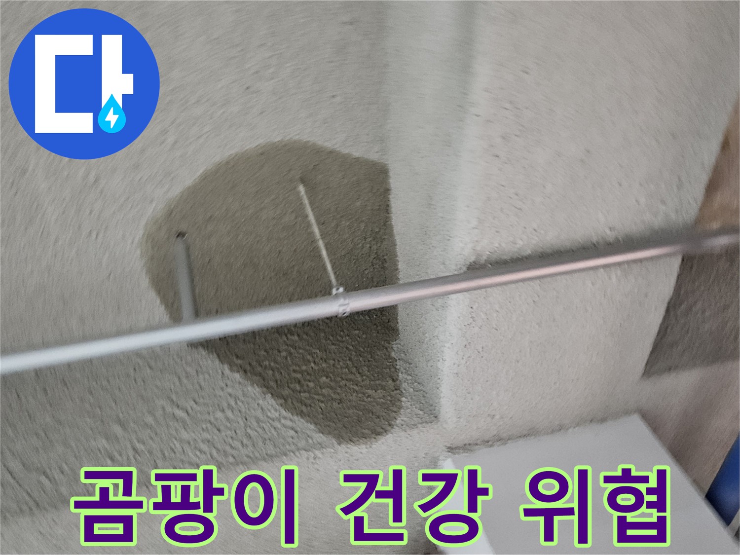 고양동 천장 곰팡이 - 건강 위협 - 빠른 누수 해결