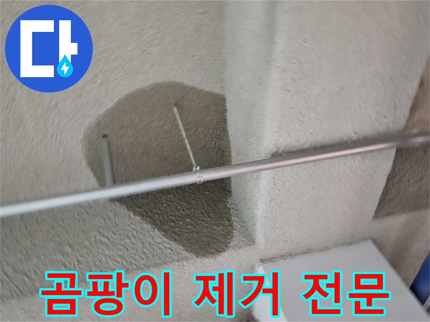 고양동 천장 곰팡이 - 누수 해결 및 곰팡이 제거 전문