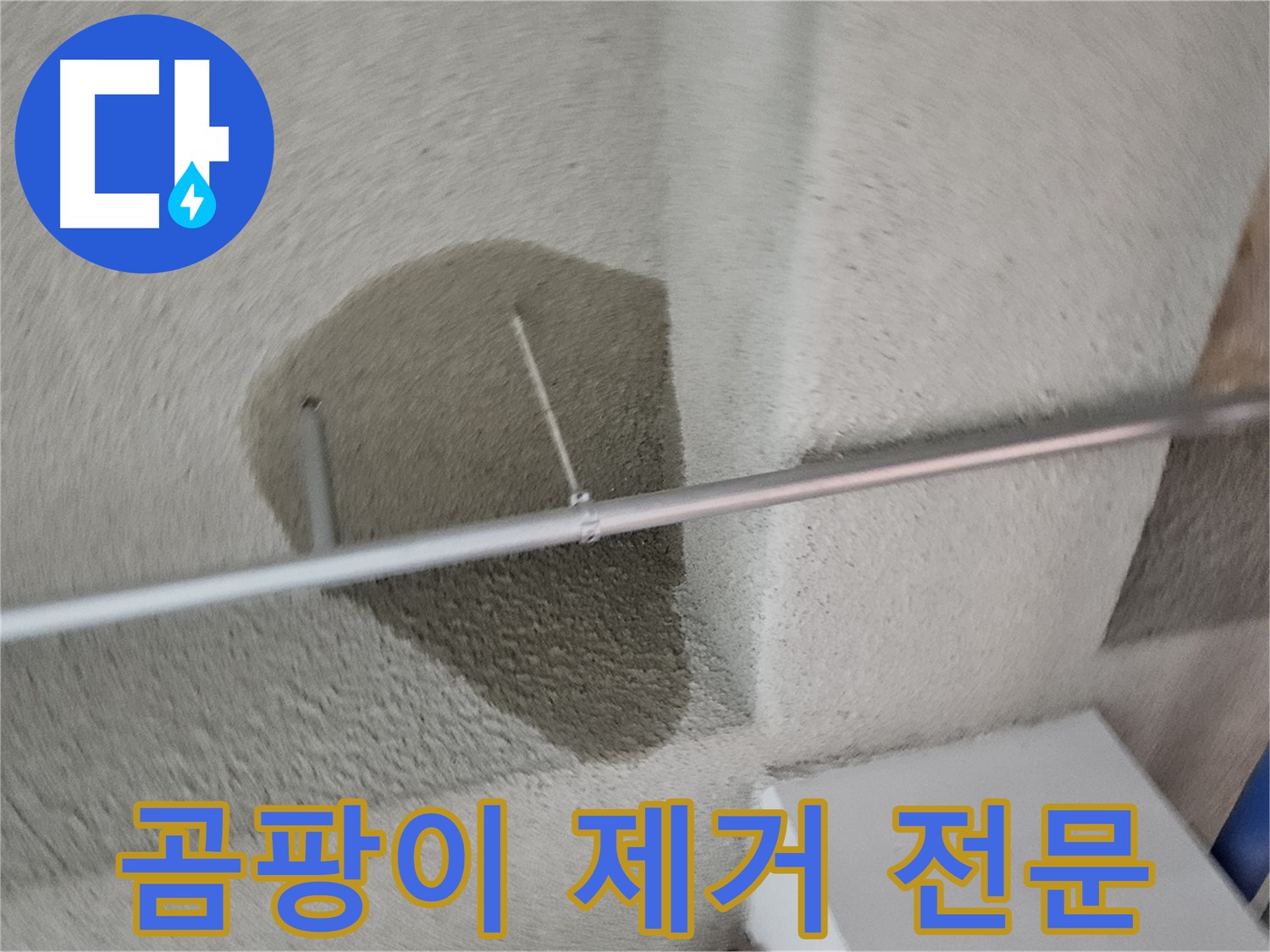고양동 천장 곰팡이 - 누수 해결 및 곰팡이 제거 전문