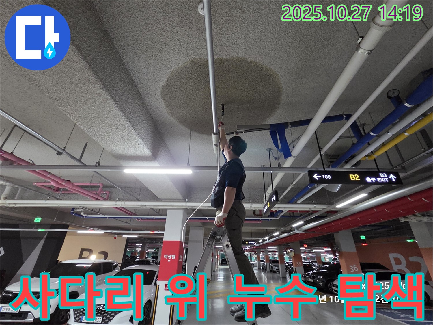 고양시 덕양구 성사동 주차장 누수 - 사다리 위에서 꼼꼼하게 누수 부위를 탐색하는 모습