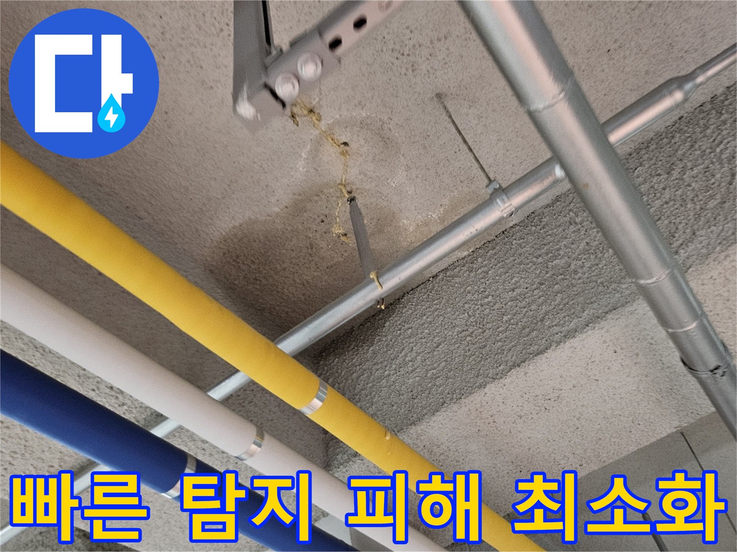 고양시 덕양구 아파트 누수 빠른 탐지