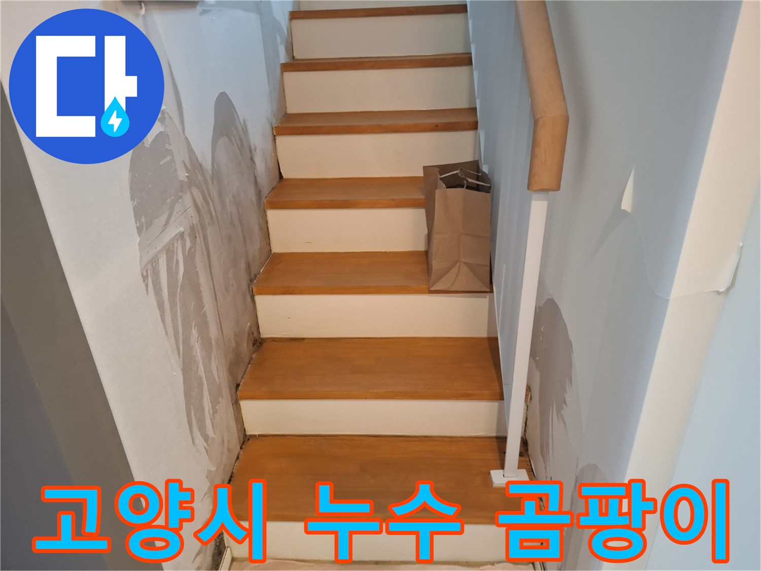 계단 벽 곰팡이 - 건강 위협, 곰팡이 완전 박멸