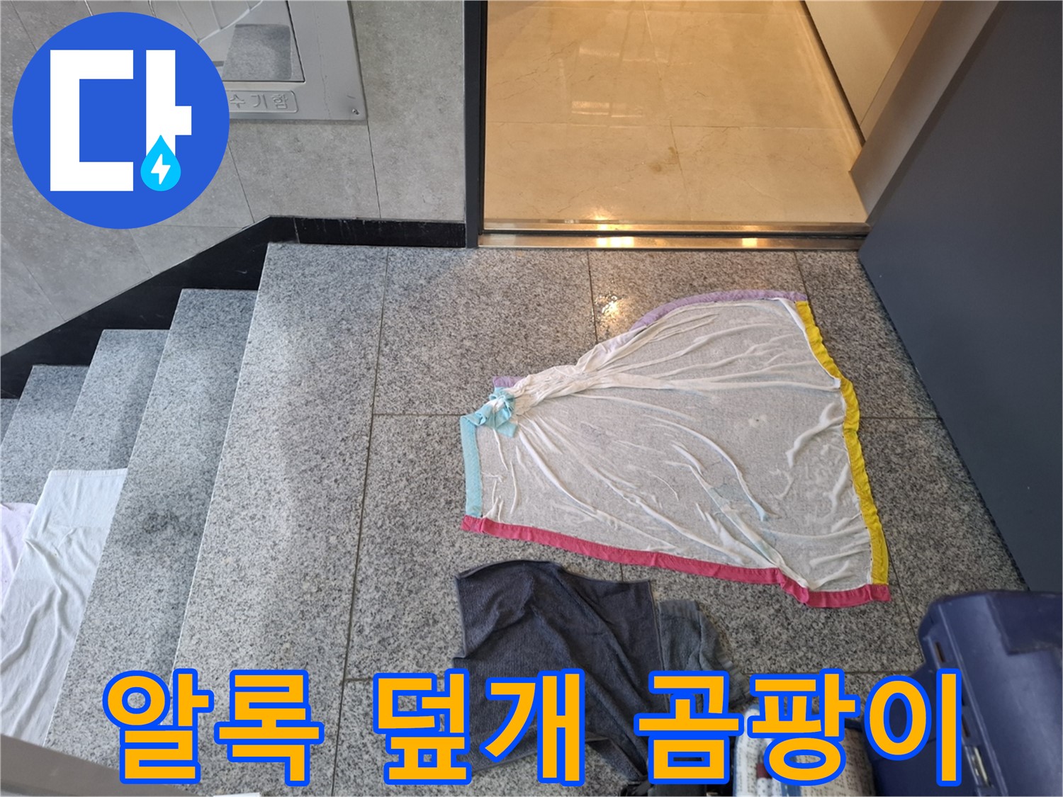 알록달록 덮개와 남색 옷 - 곰팡이 양식장?