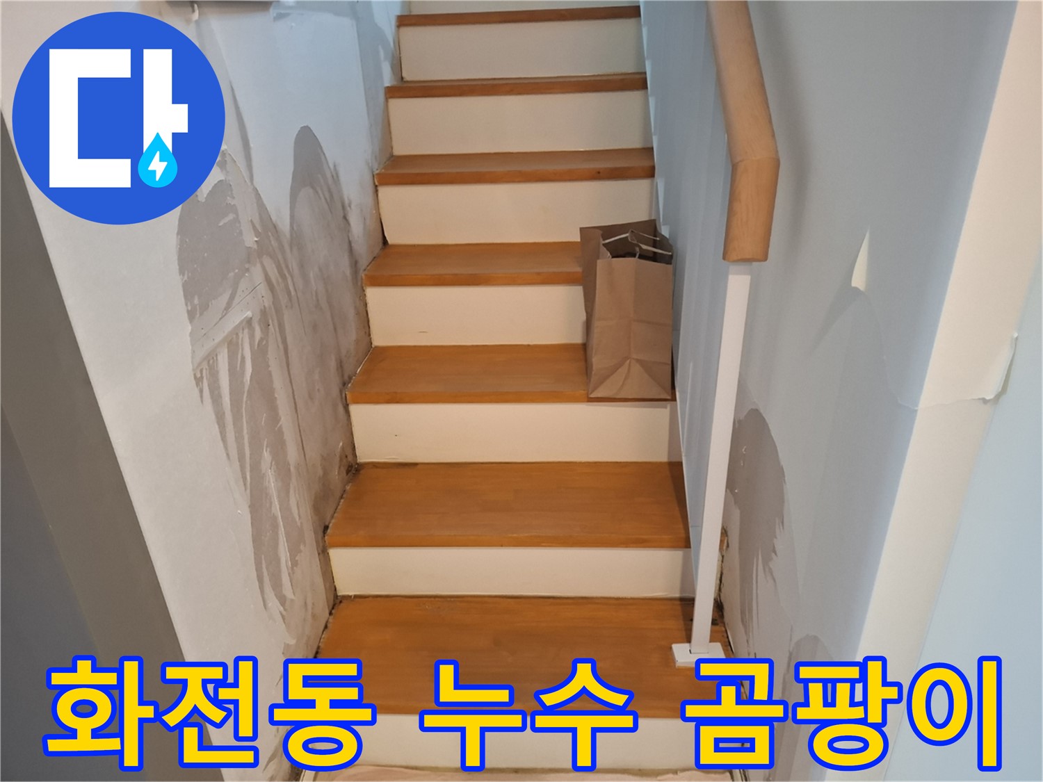 젖은 벽 - 곰팡이 생기기 전에 해결