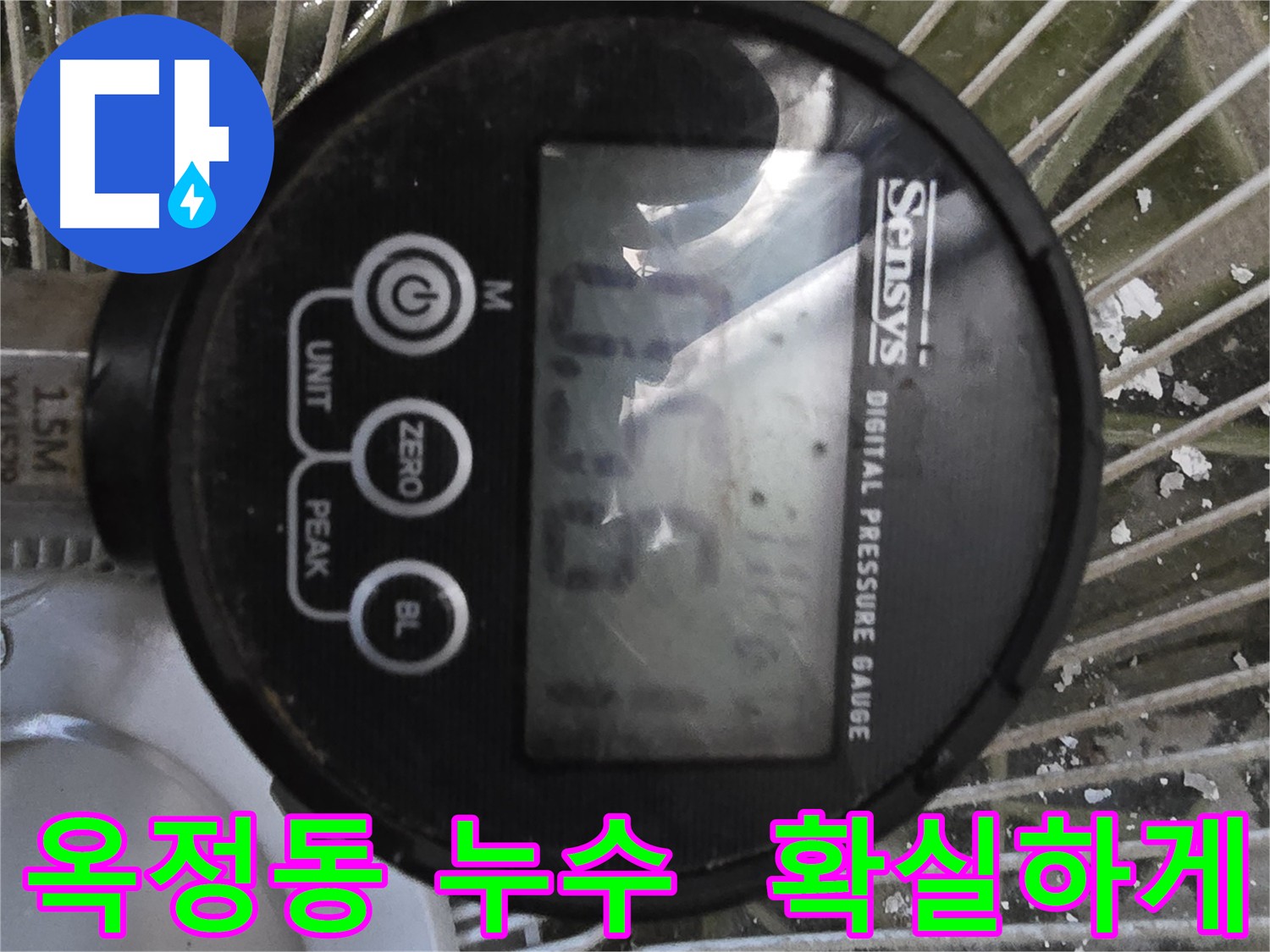 옥정동 누수탐지 - 곰팡이 발생 원인 진단 및 맞춤형 해결책 제시
