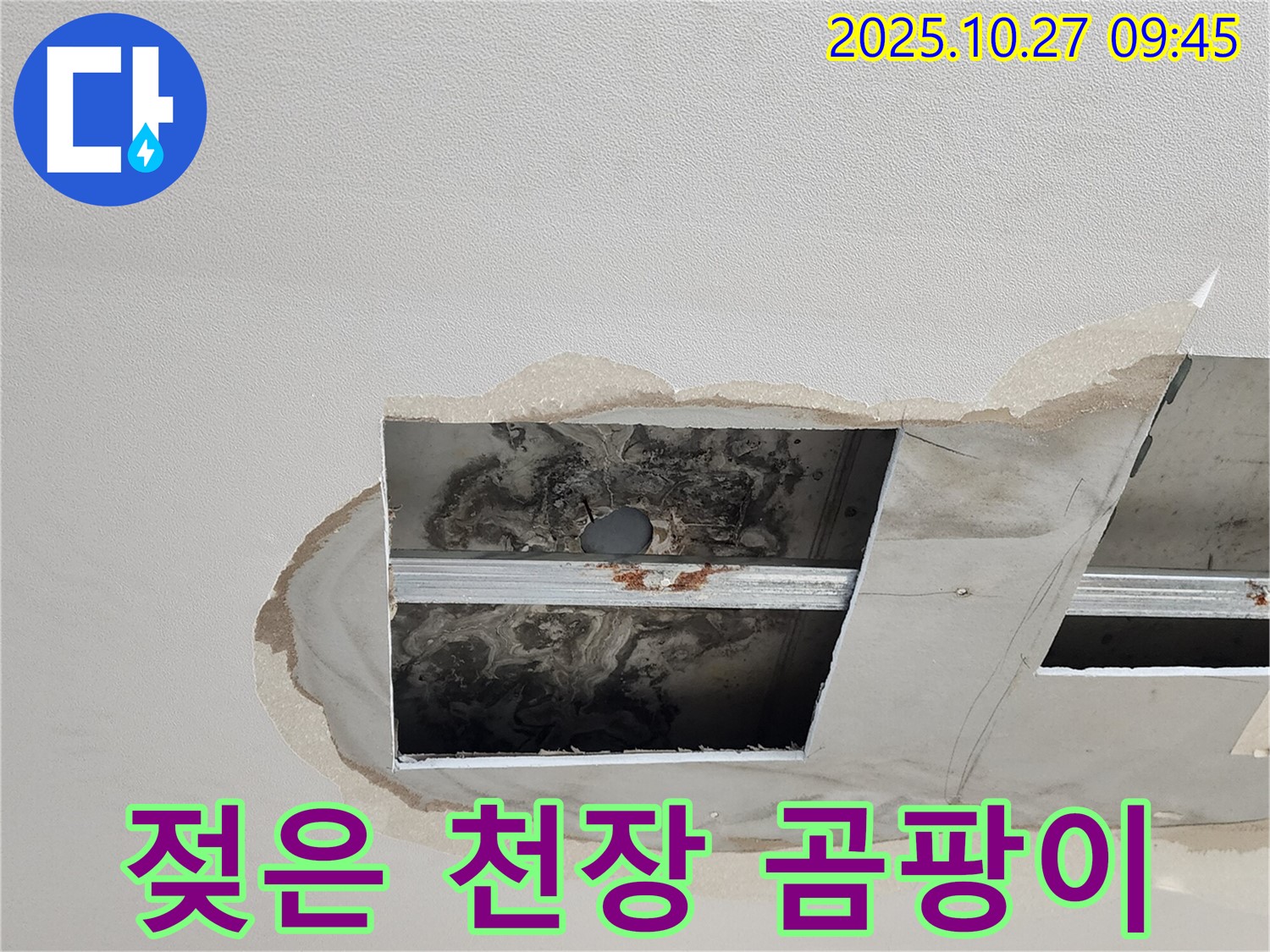 양주 옥정 천장 누수 - 젖은 천장과 곰팡이 확산 우려