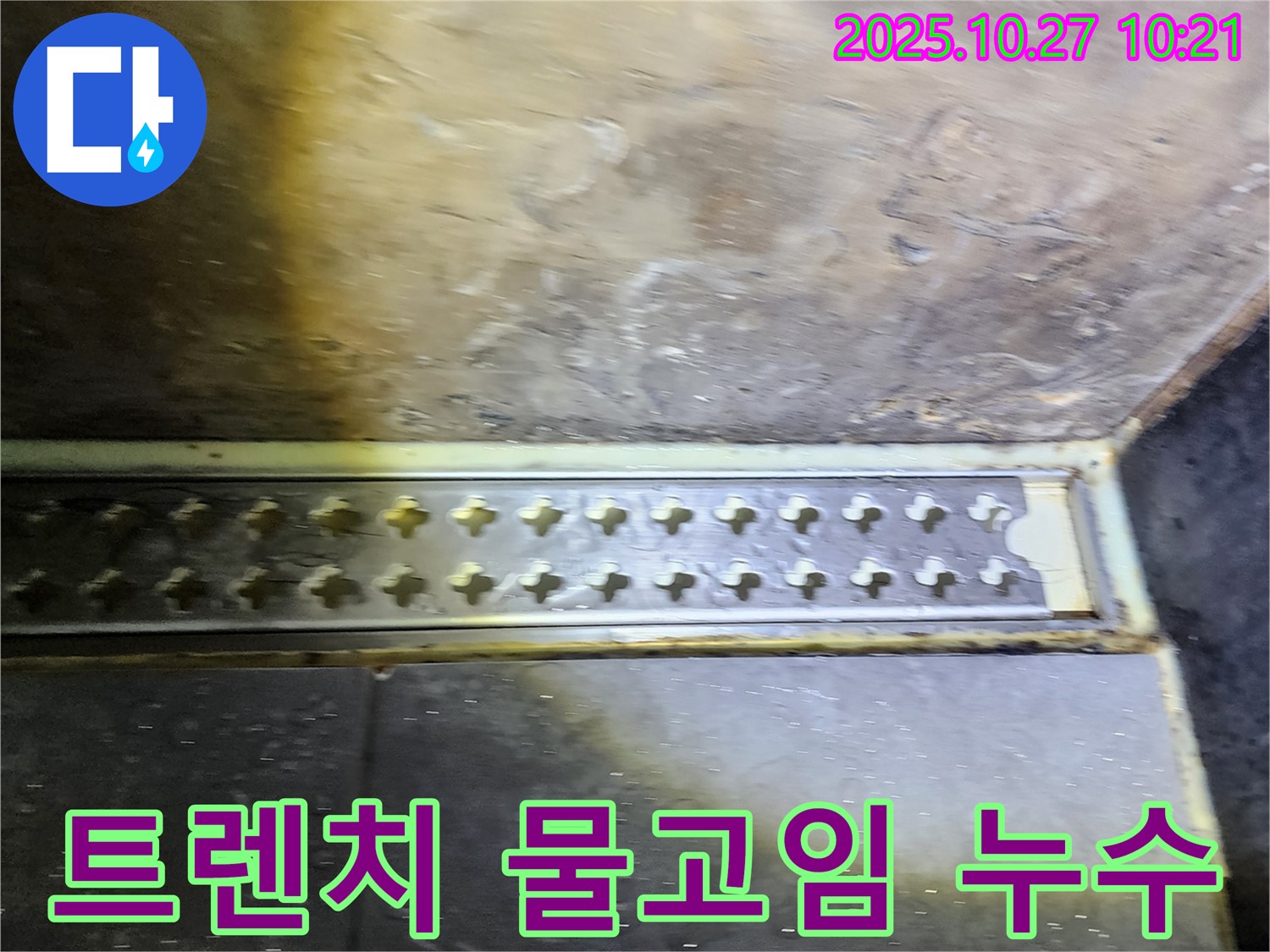 양주시 옥정동 욕실 트렌치 주변 물고임 및 누수 - 누수탐지 전문 업체의 해결 사례!