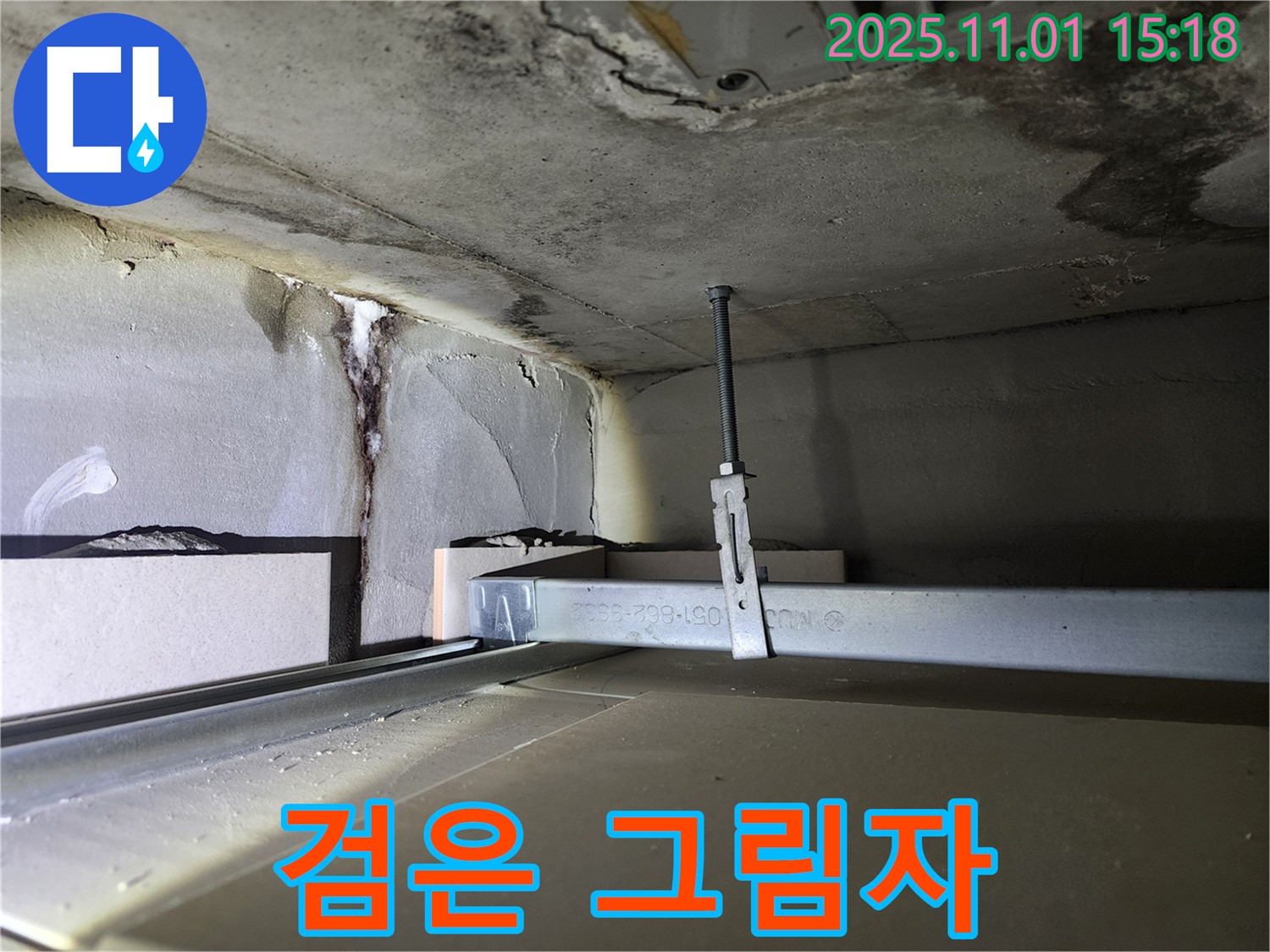 금호동 신금호파크자이 아파트 - 천장 속에서 발견된 검은 그림자, 누수의 악몽