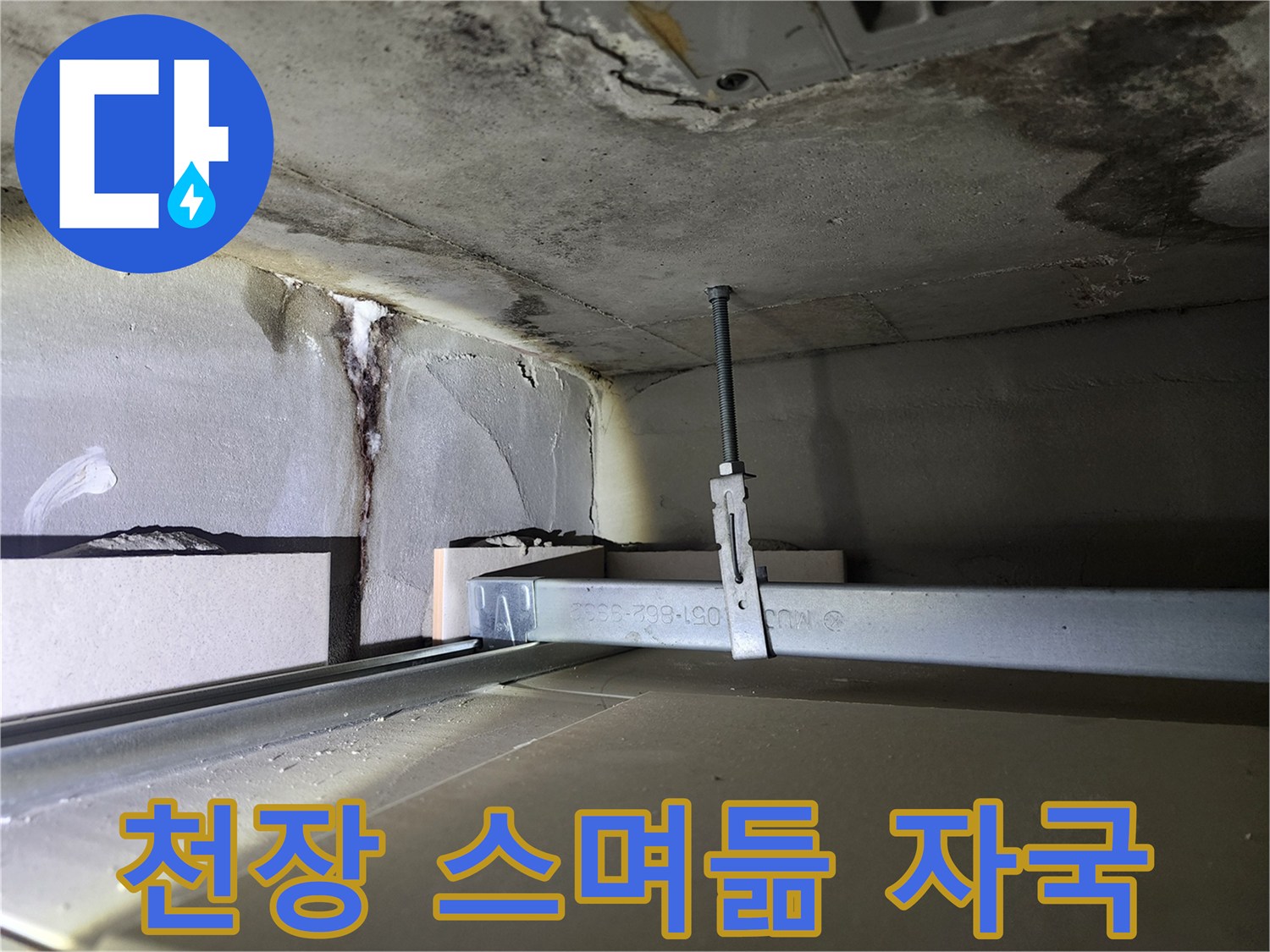 금호동2가 신금호파크자이 아파트 천장 스며듦 - 스며듦 자국과 천장 손상 확인