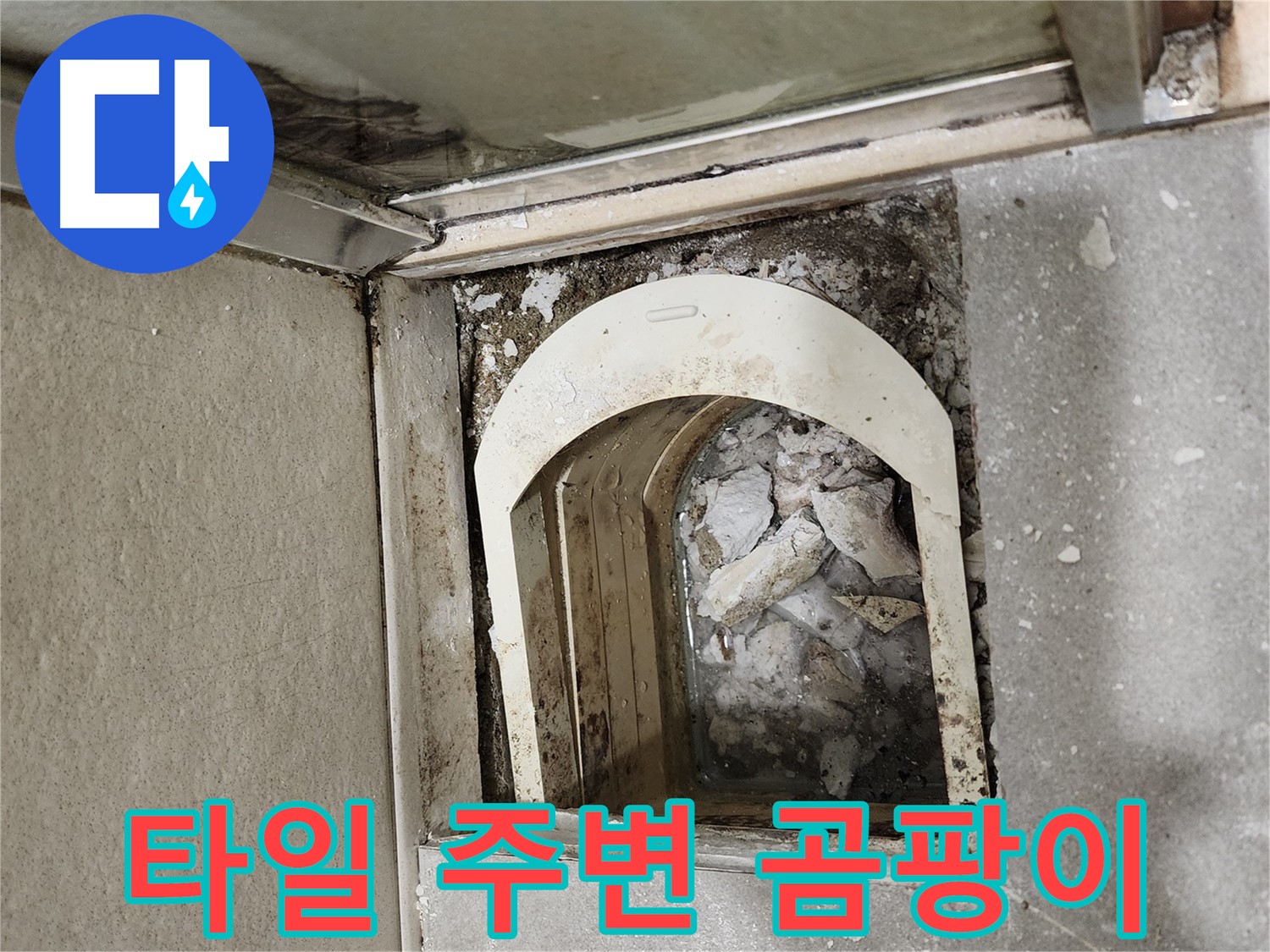 성동구 아파트 샤워부스 - 하단 타일 주변 곰팡이 발생 확인