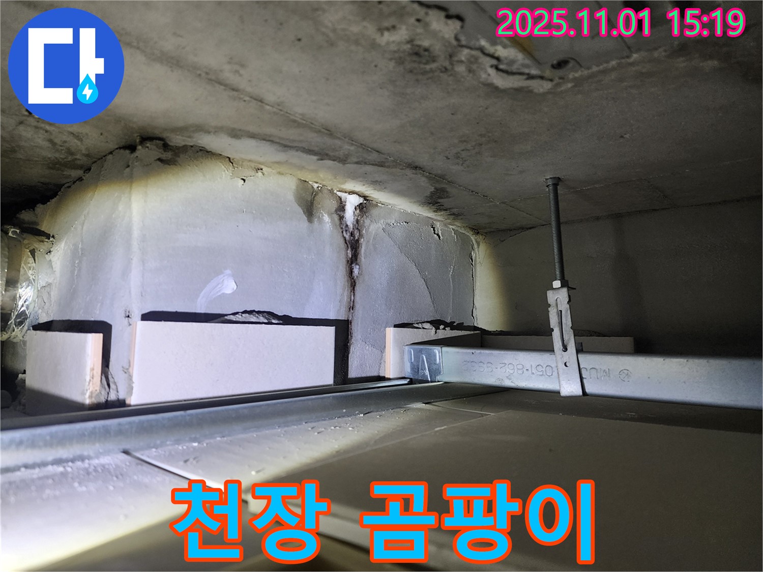 천장 곰팡이 - 누수로 인해 발생한 곰팡이가 천장에 넓게 퍼져 있습니다.