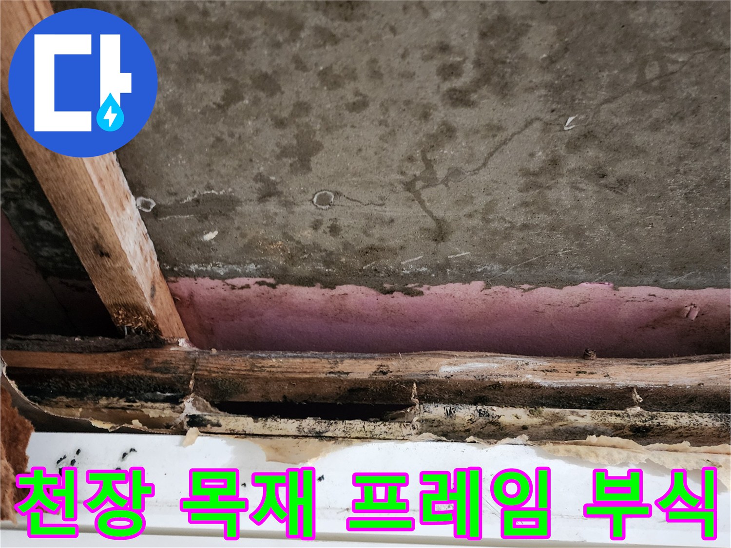 물샘-현장의-부식된-목재-및-오염된-마감재