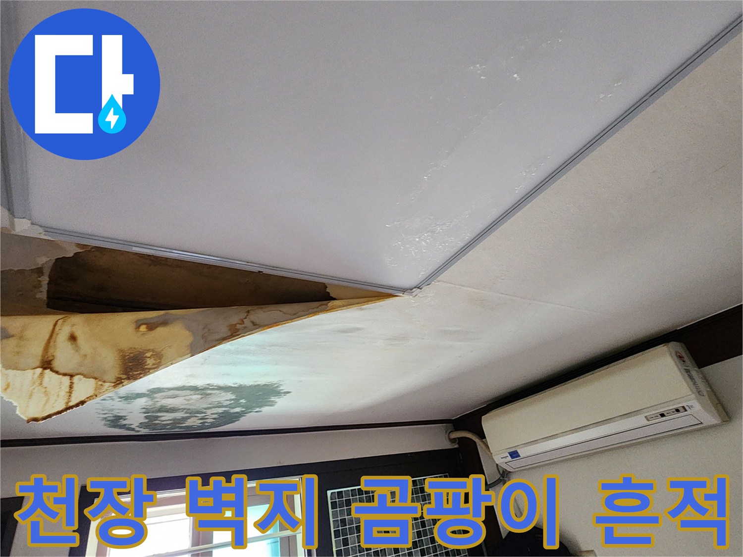 양주 회천동 현장-천장 실크벽지 곰팡이 및 변색 상태