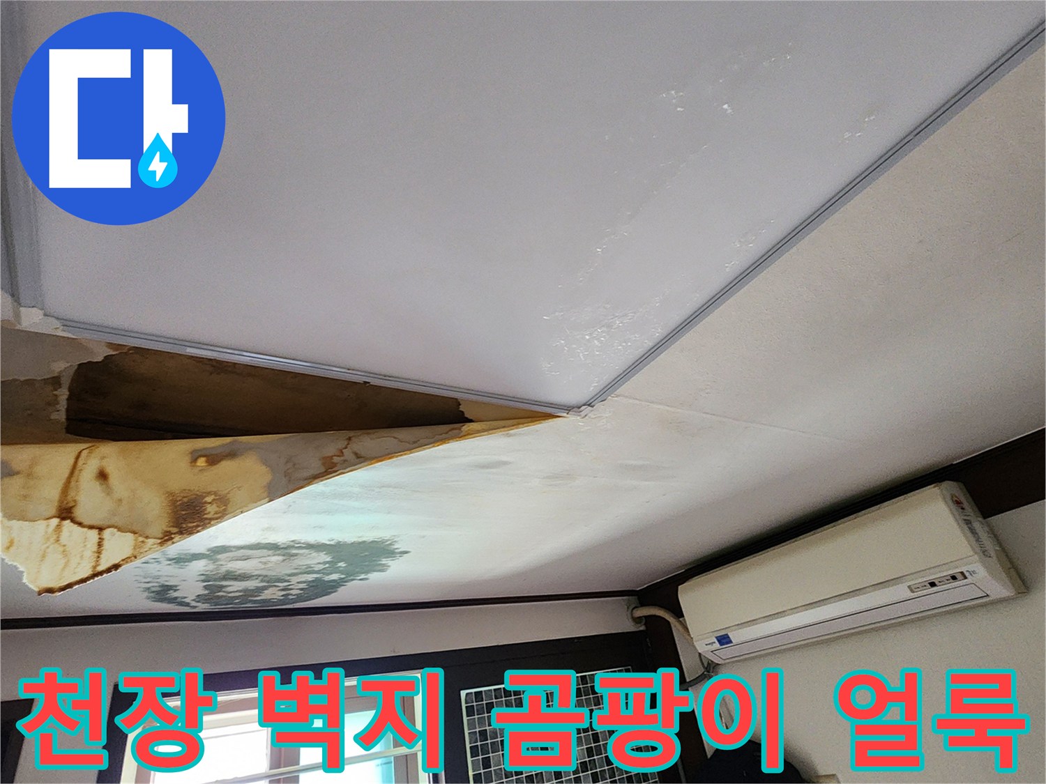 양주시 회천2동-천장 벽지 젖음 및 곰팡이 발생 상태