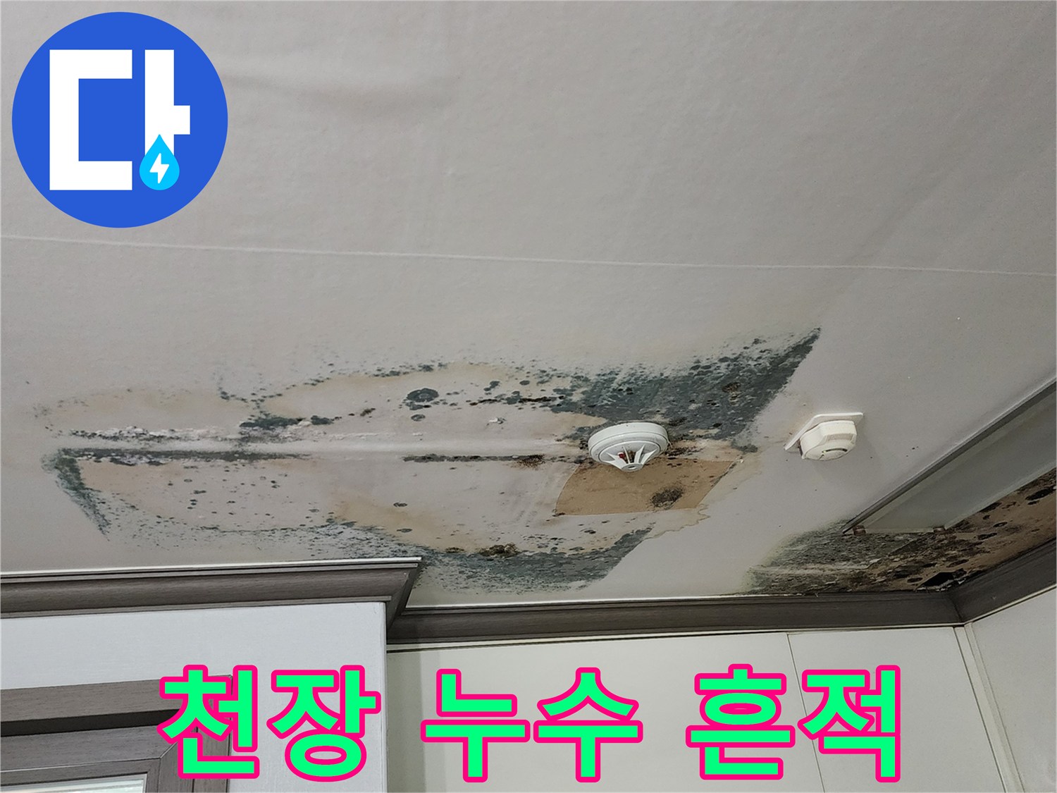 천장 감지기 주변-넓게 퍼진 곰팡이와 누수 피해 부위