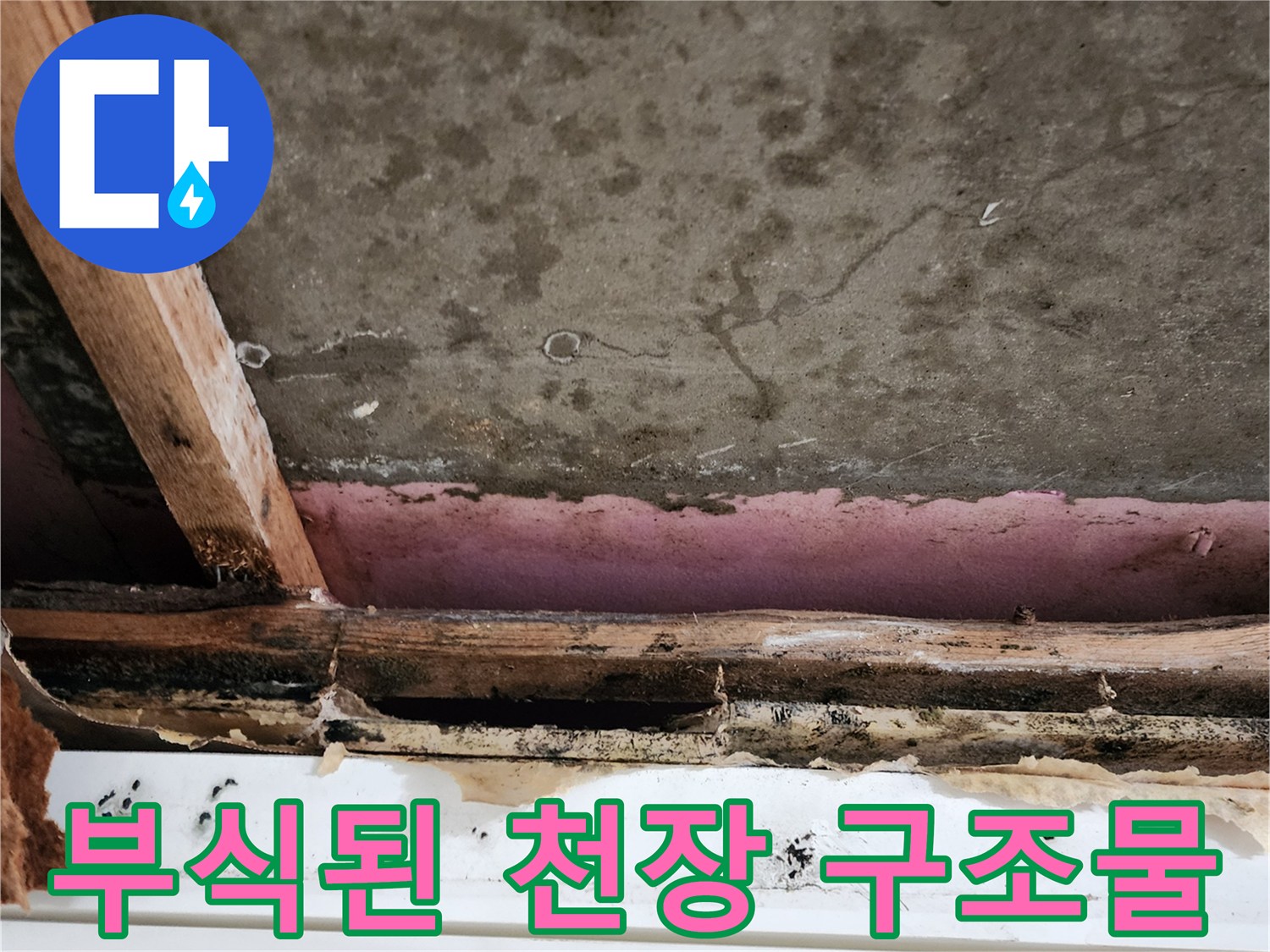 천장 내부-목재 부식-및 곰팡이 발생 상태