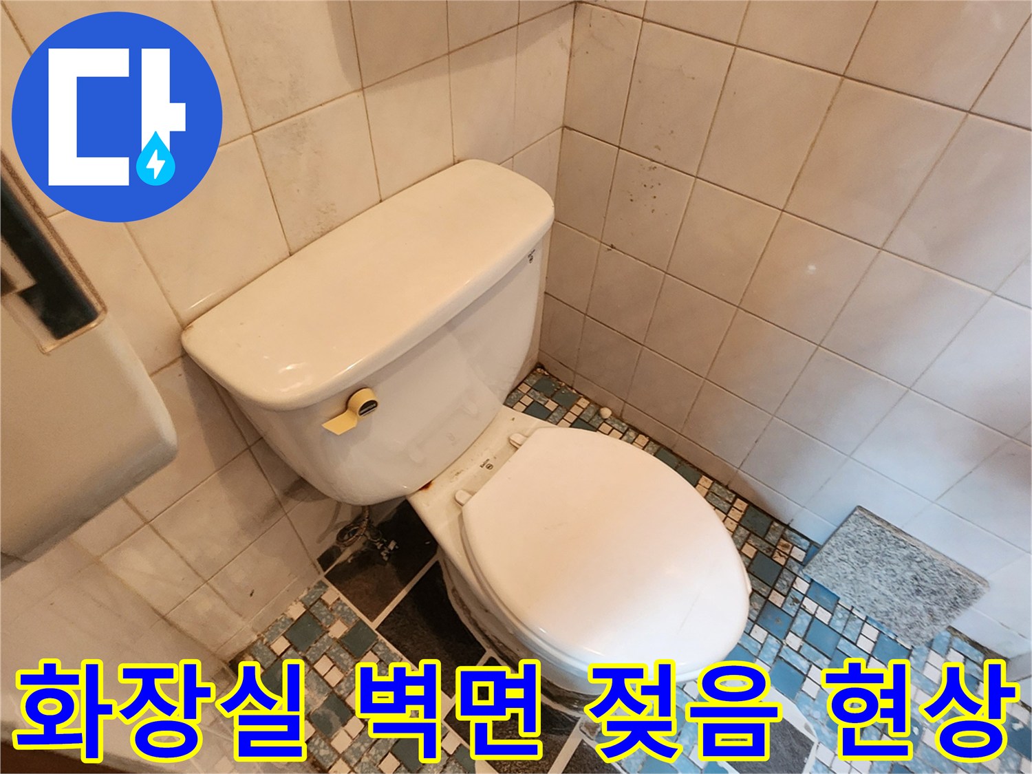 변기 뒤쪽 타일-습기와 곰팡이가 발생한 벽면 모습