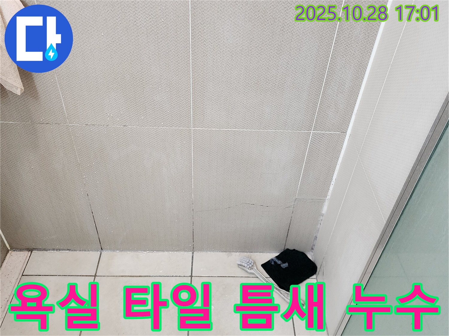 양주시 유양동 욕실 누수 현장 - 타일 틈새 백시멘트 손상으로 인한 누수 발생 지점 확인