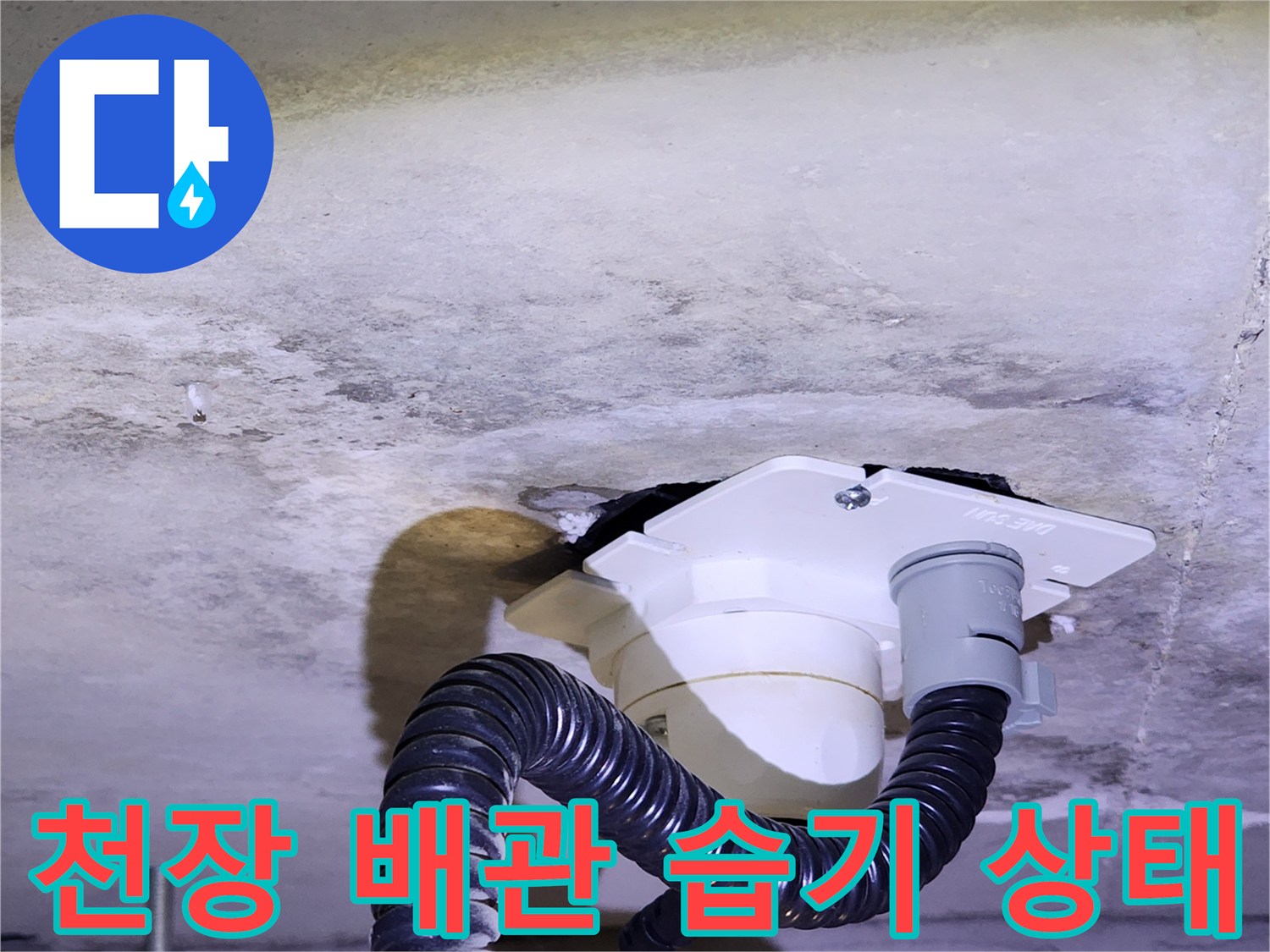 양주시 유양동 현장 - 천장 콘크리트 슬래브와 배수관 주변의 습한 상태