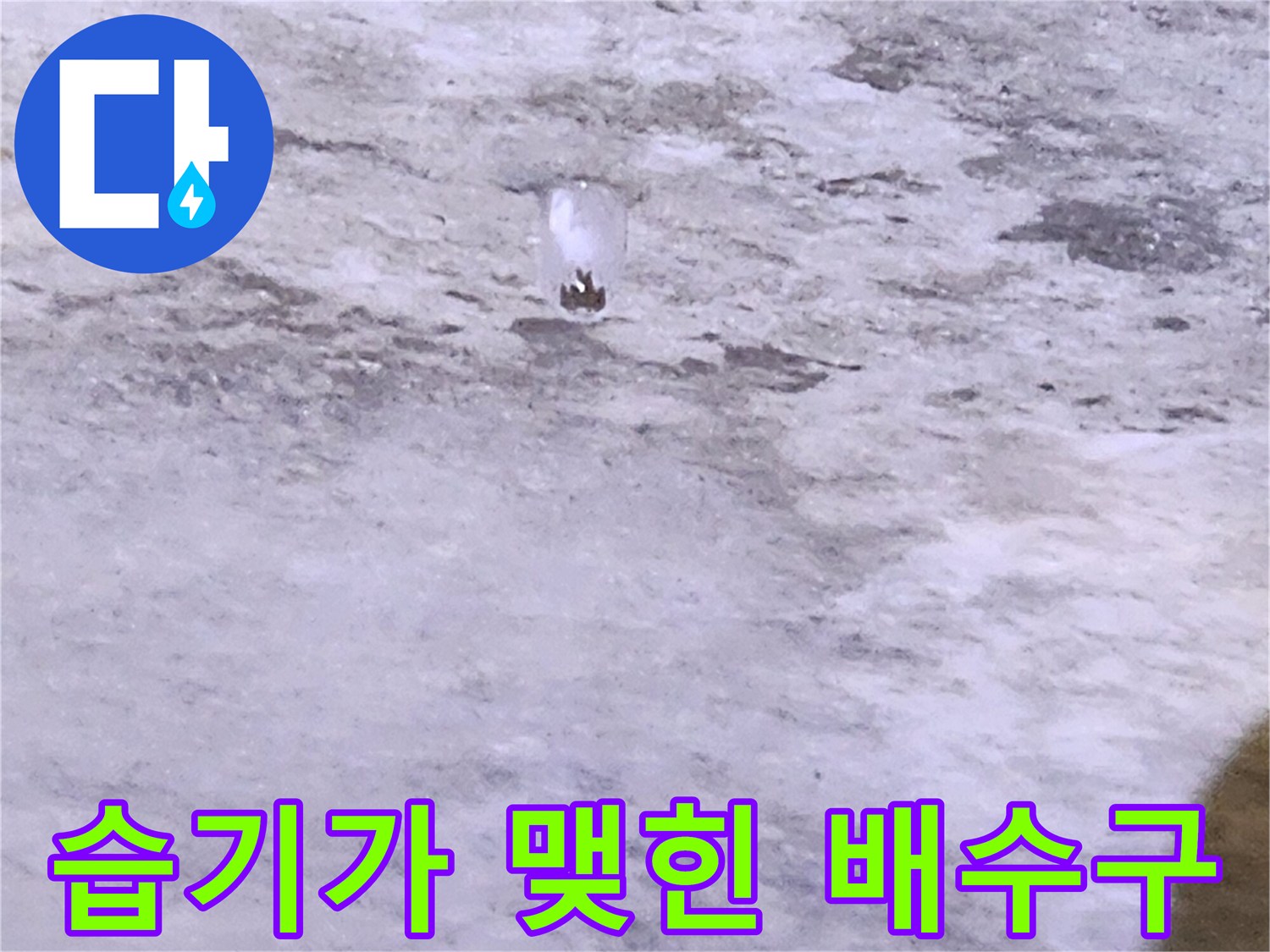 유양동 욕실 현장 - 젖어있는 배수구 주변부
