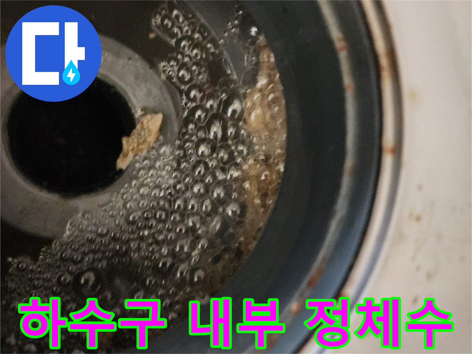 배수구-주변의-물고임과-부유물