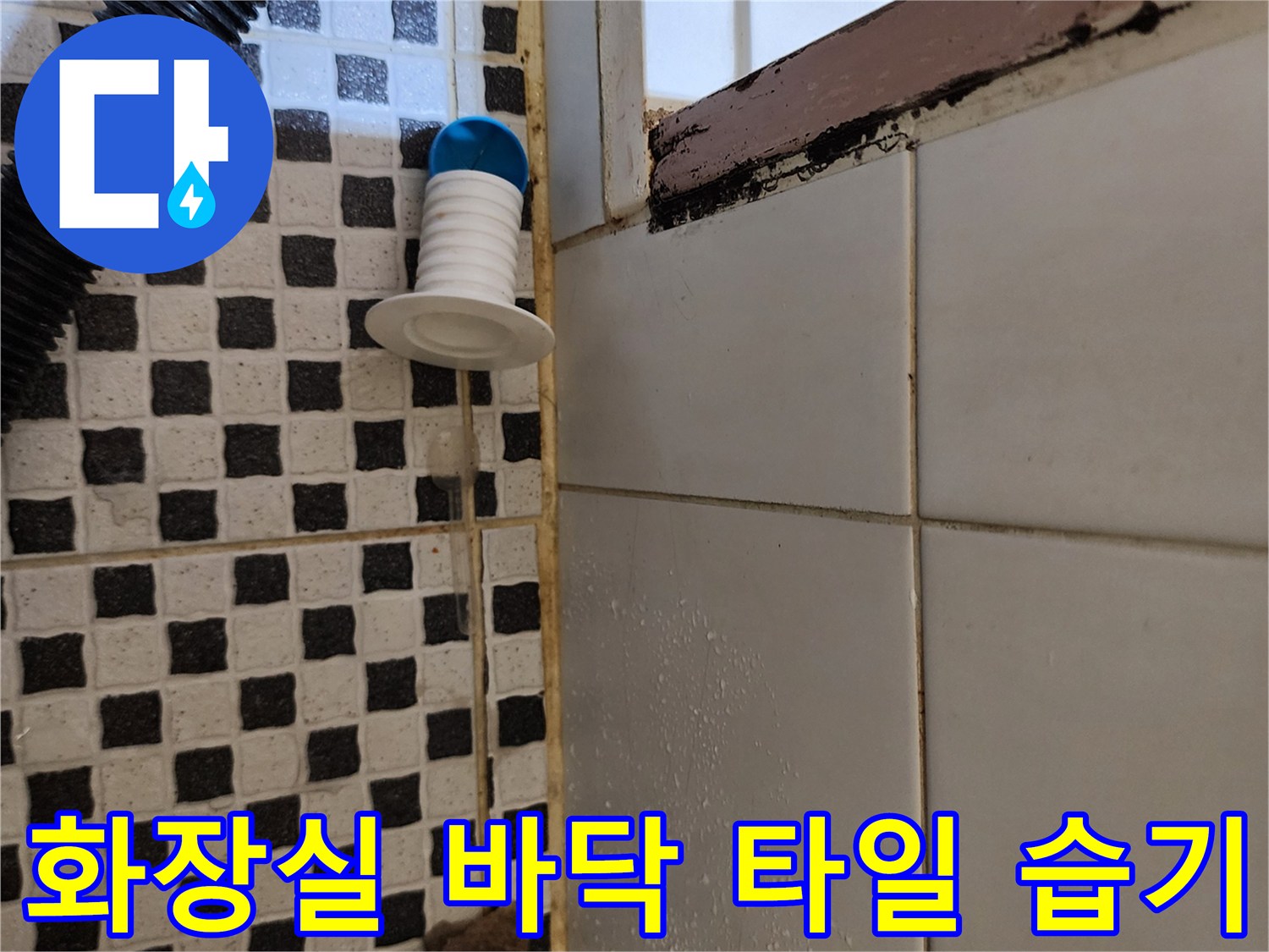 양주시 산북 검은색과 흰색 패턴 타일 사이의 습기 현상
