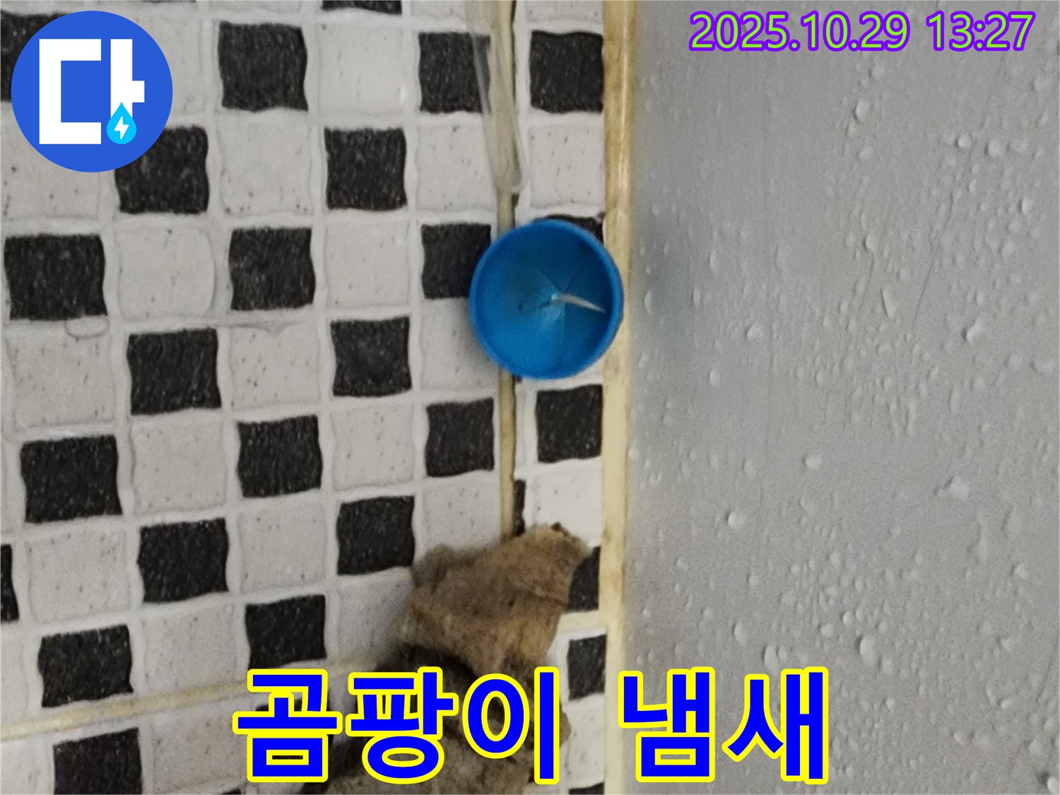 양주시 산북동 누수 - 곰팡이 냄새는 누수의 간접적인 증거