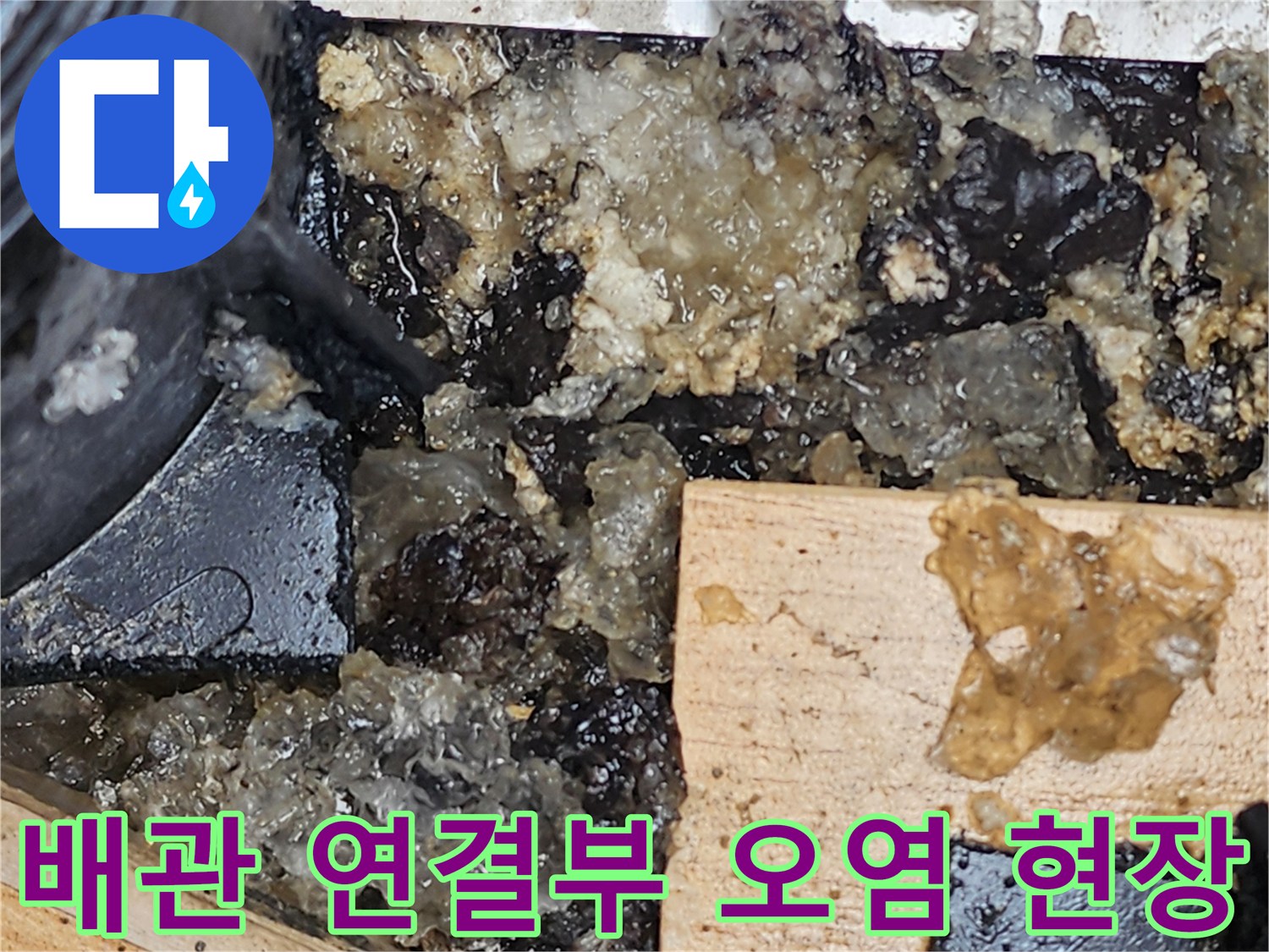 오염된 슬러지와 물이 섞여 있는 배수구 주변 환경