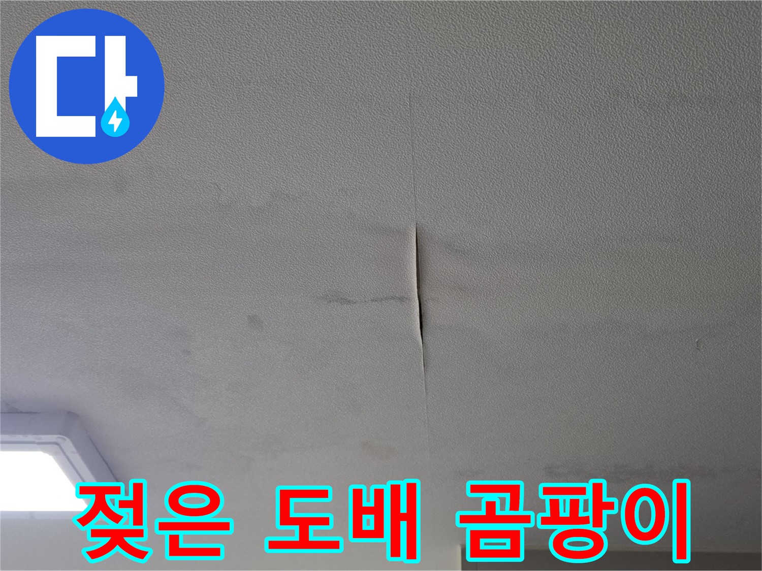 천장 누수 - 젖은 도배와 곰팡이 의심 얼룩