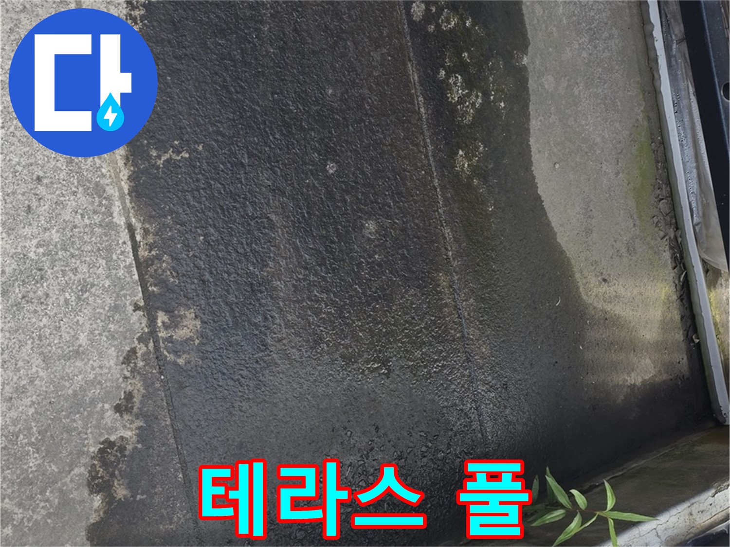 테라스 바닥에 풀이 자라다니 - 방수층 파괴 신호?!